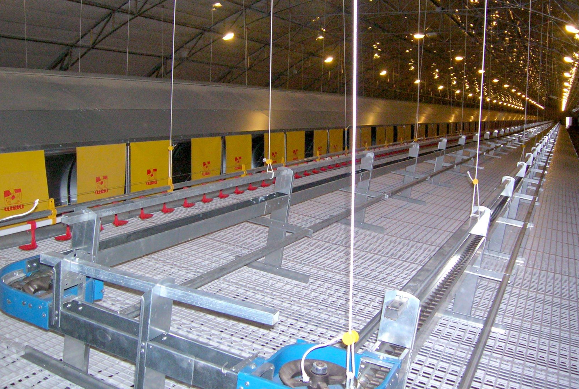 impianti-avicoli-al-suolo-nido-libera-clerici-gino-5