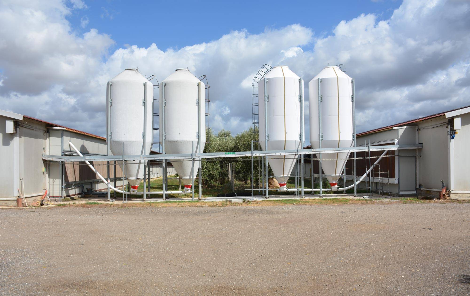 alimentazione-gigo-impianti-avicoli-clerici-3