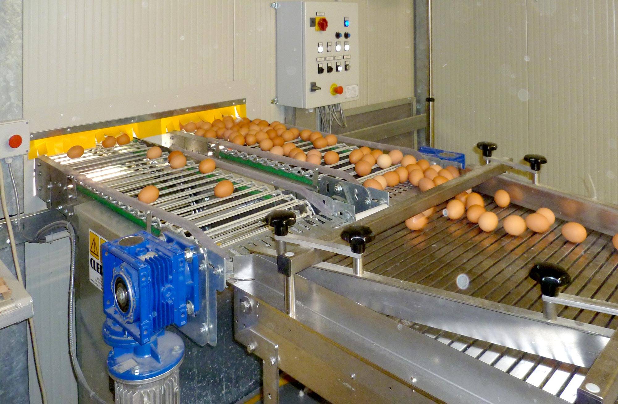 slalom-raccolta-uova-impianti-avicoli-clerici-1