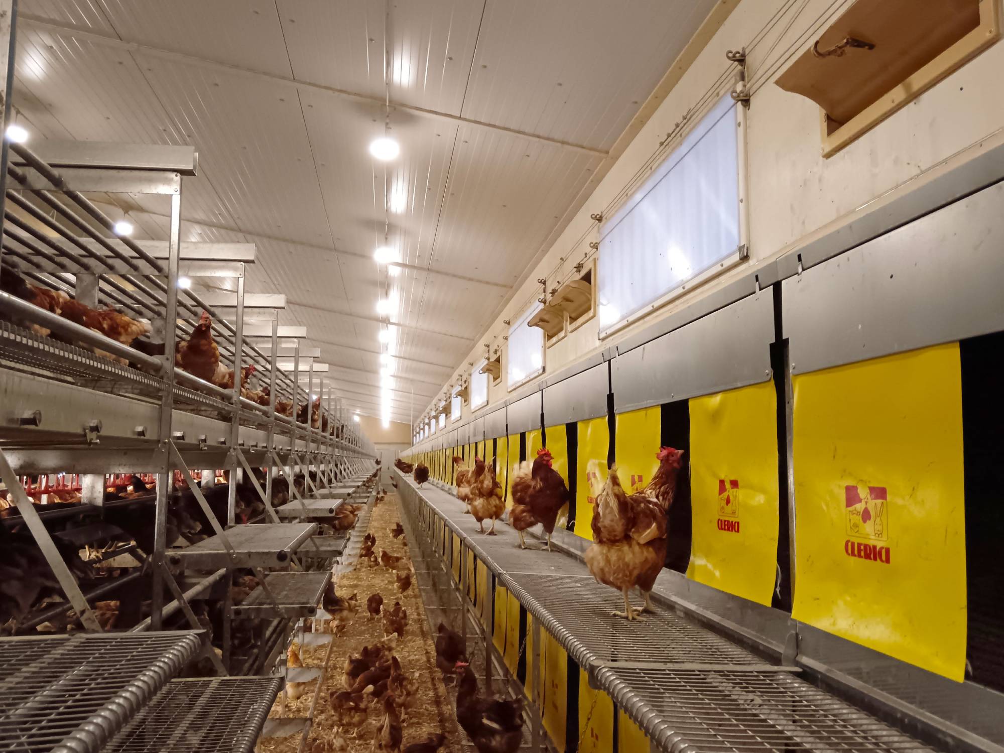 clerici-impianti-avicoli-svizzera-parchetto-nido