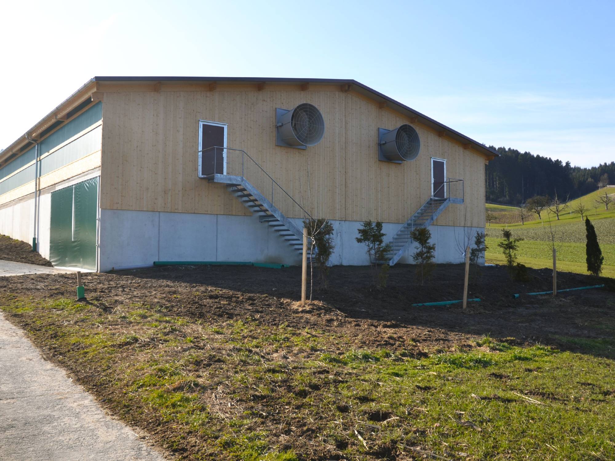 clerici-gino-voliera-svezzamento-pulcini-canton-lucerna-olimpia-aperta-(5)