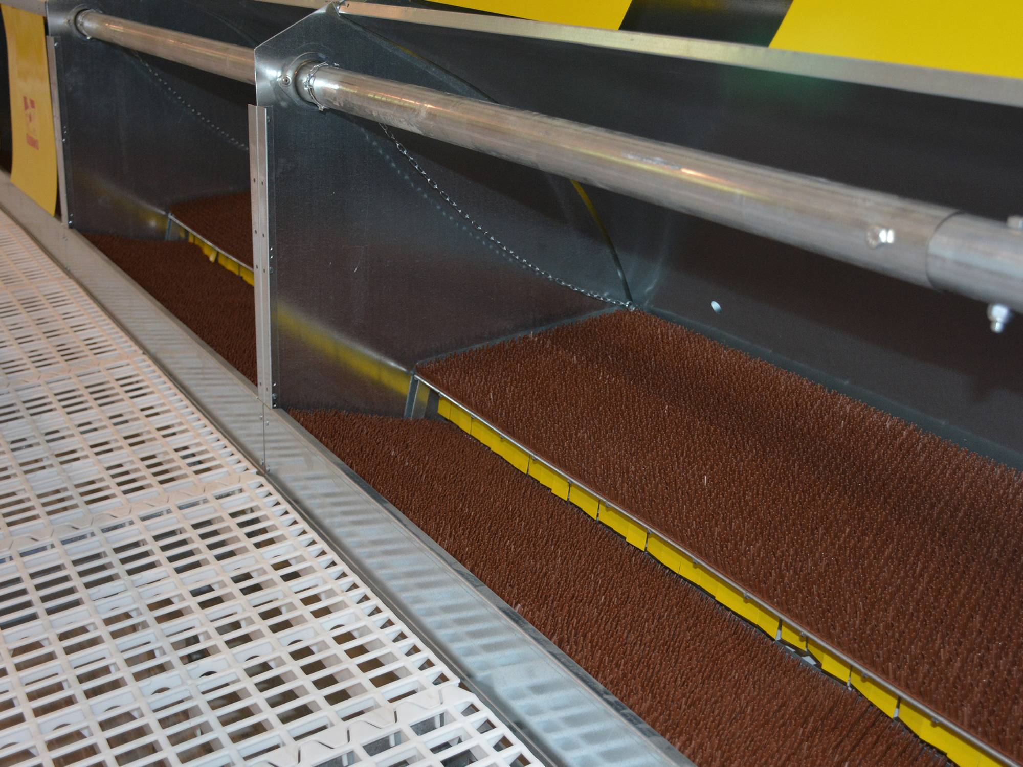 clerici-impianti-avicoli-galline-ovaiole-biella-libaia (2)