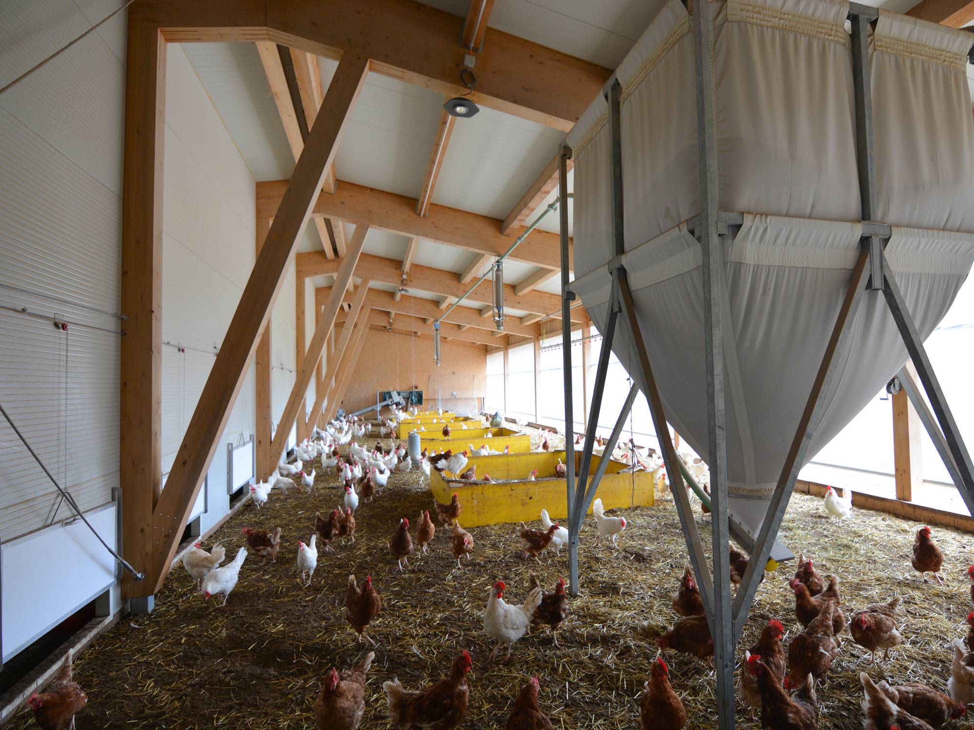 clerici-impianti-avicoli-mertenat-alimentazione (2)