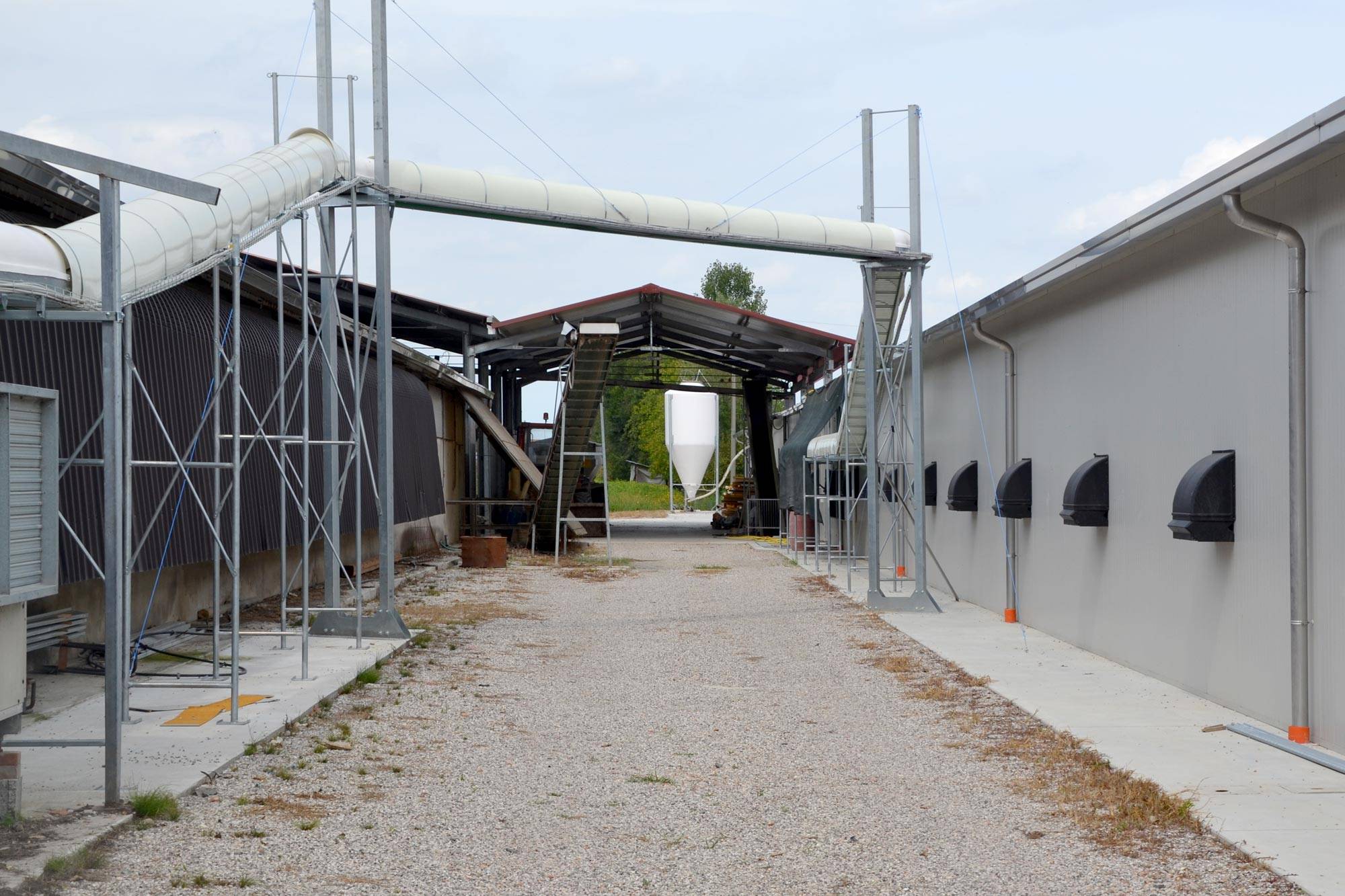 slalom-raccolta-uova-impianti-avicoli-clerici-6