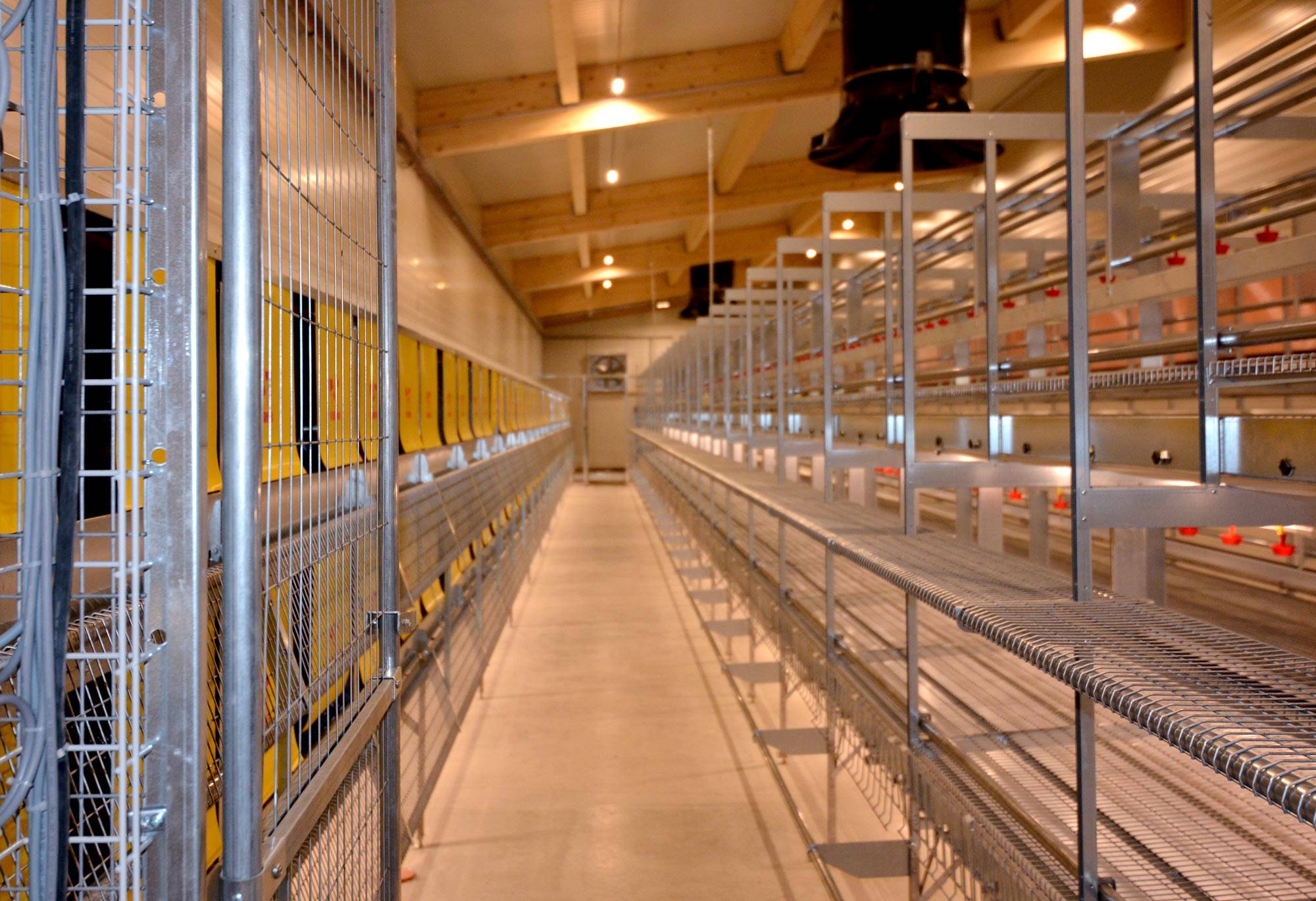 parchetto-voliera-impianti-avicoli-clerici-4