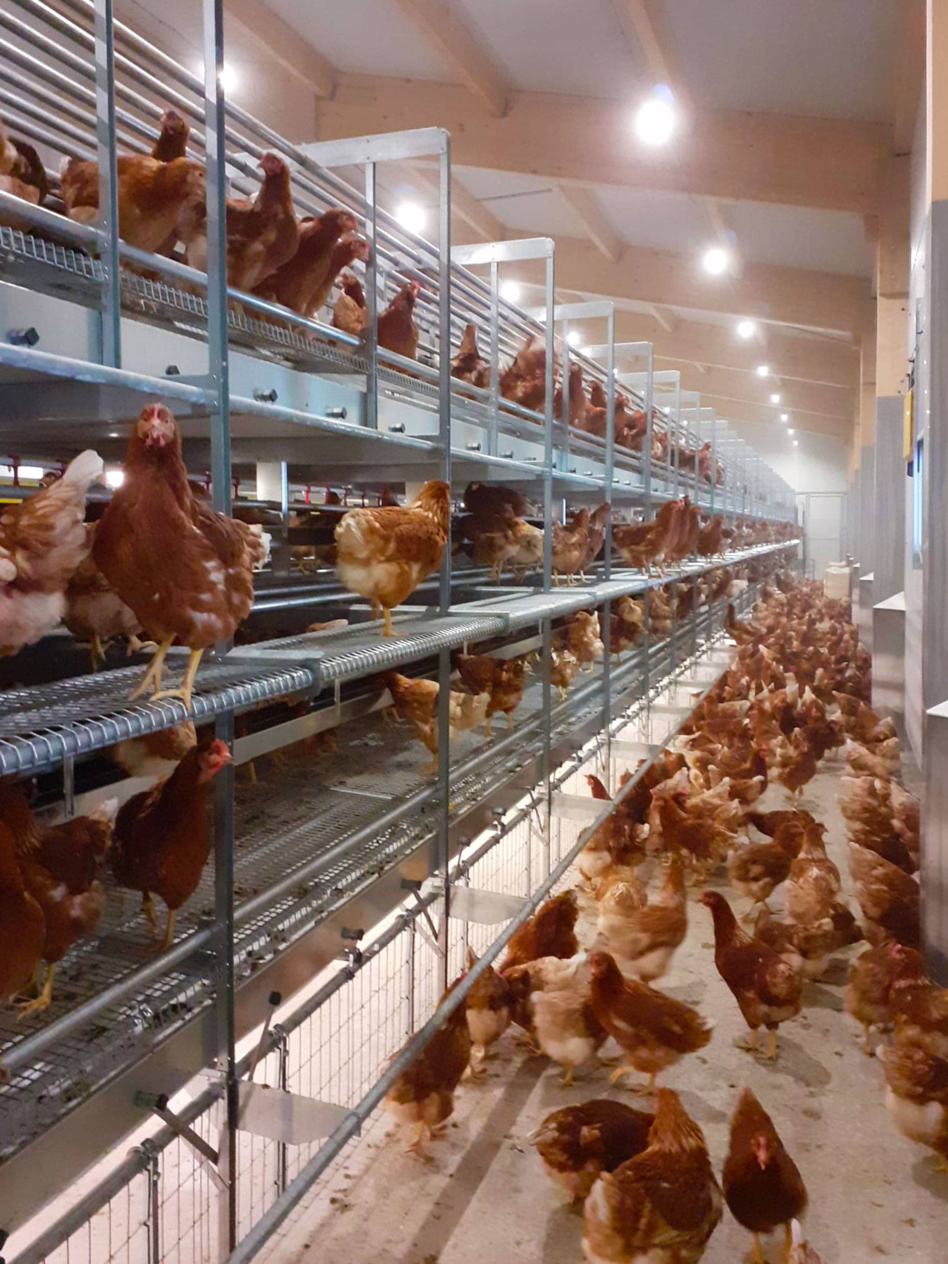 soluzione-parchetto-nido-2-piani-libaia-60-(6)