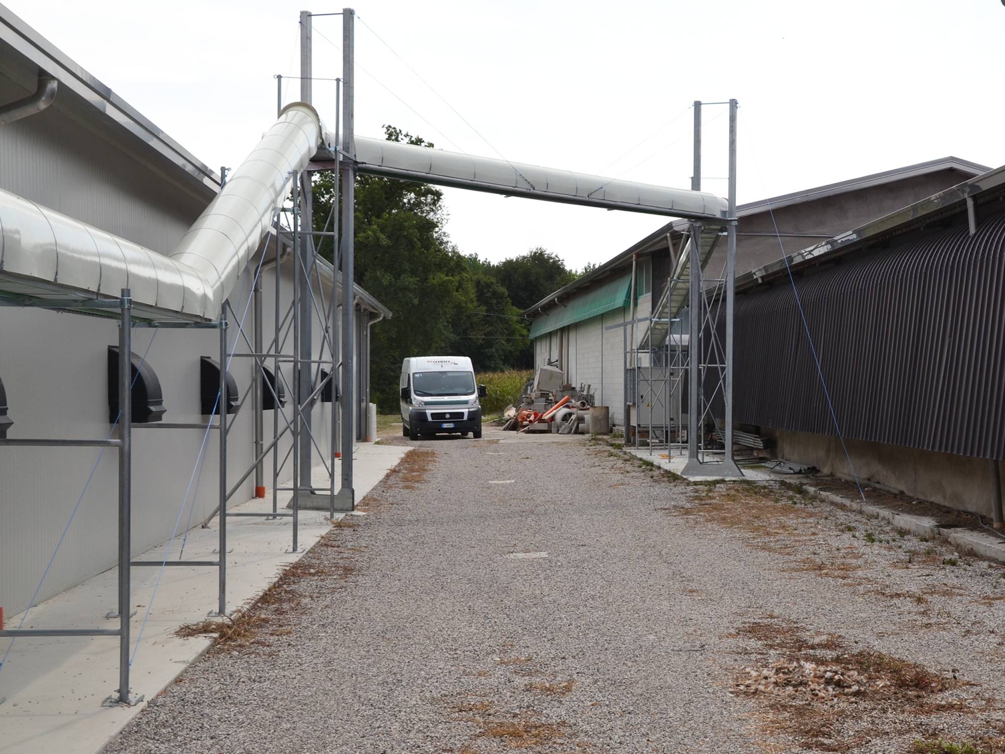 clerico-impianto-avicolo-venezia-raccolta uova slalom