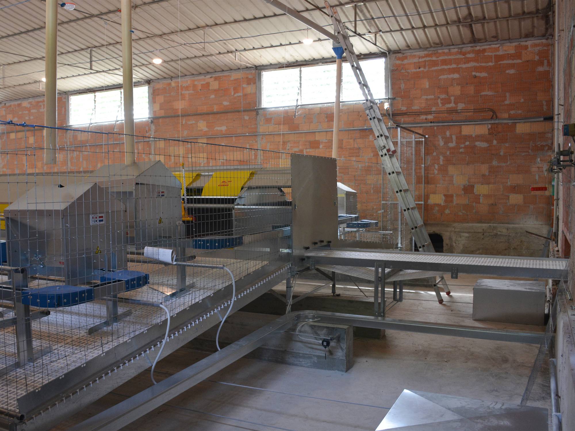 clerici-impianti-avicoli-galline-ovaiole-biella-libaia