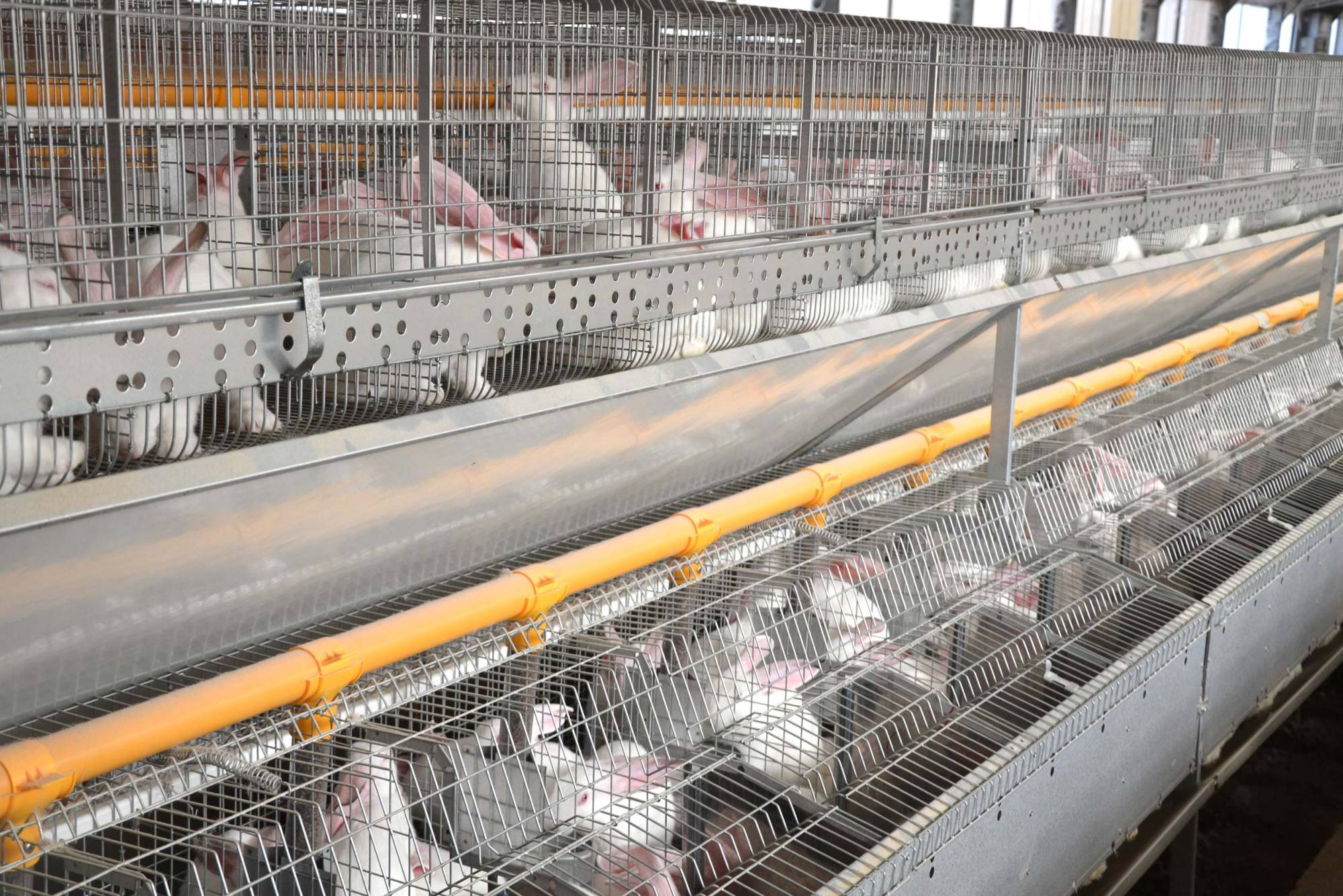 clerici-gino-impianti-cunicoli-3