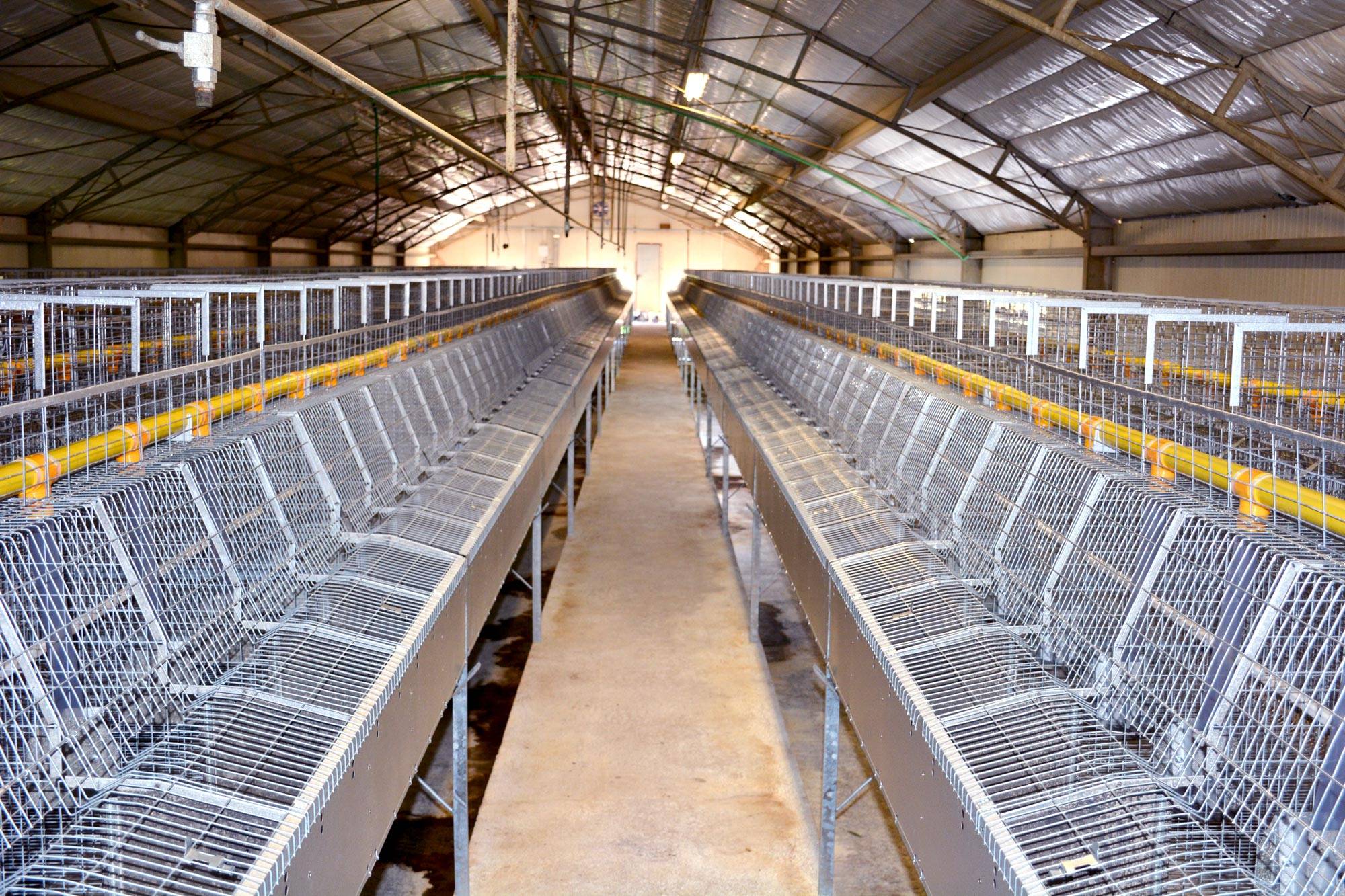 clerici-gino-impianti-cunicoli-natura-fattrici-3