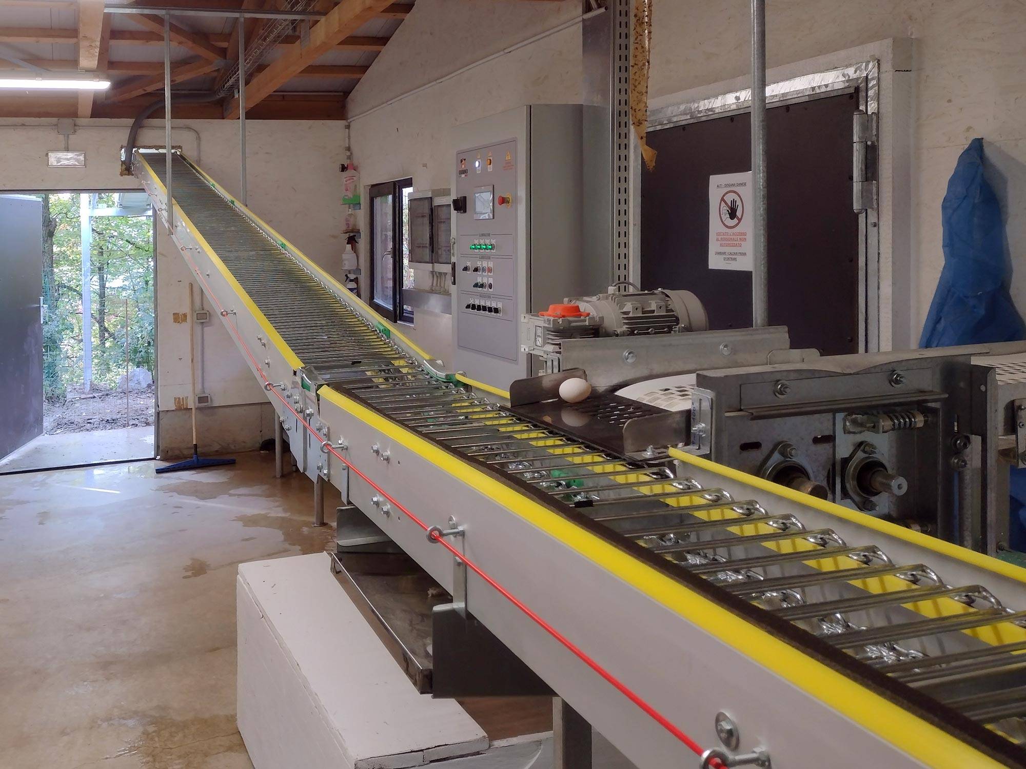 slalom-raccolta-uova-impianti-avicoli-clerici-2