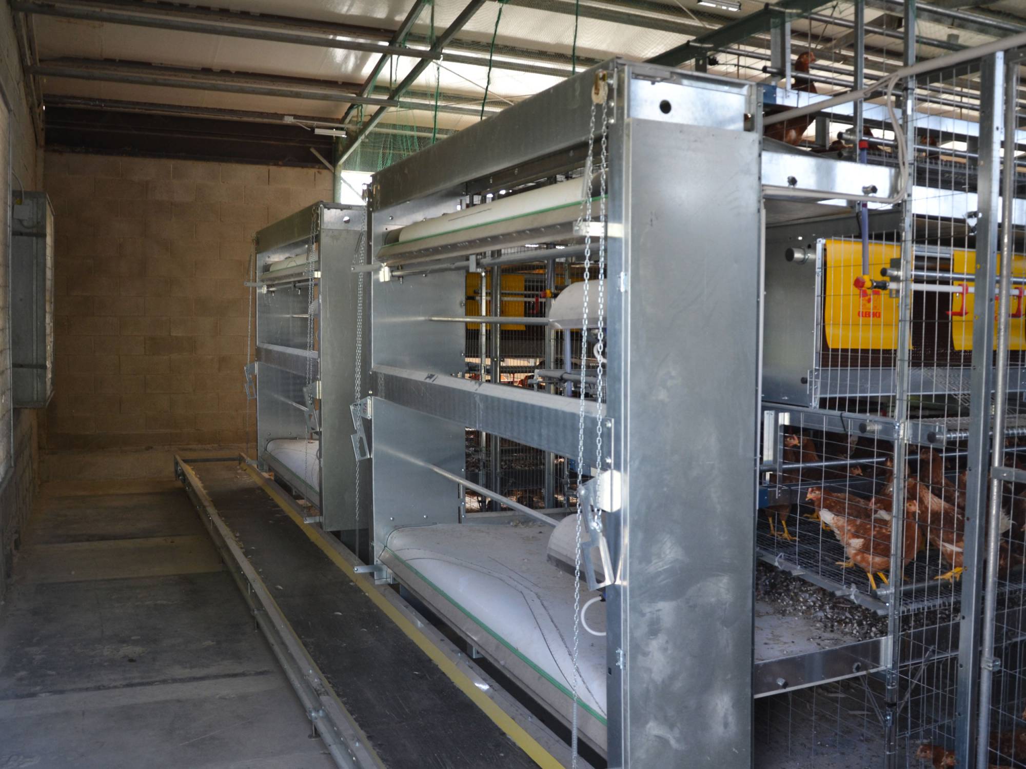 clerici-gino-impianto-avicolo-svizzera-trasporto-deiezioni