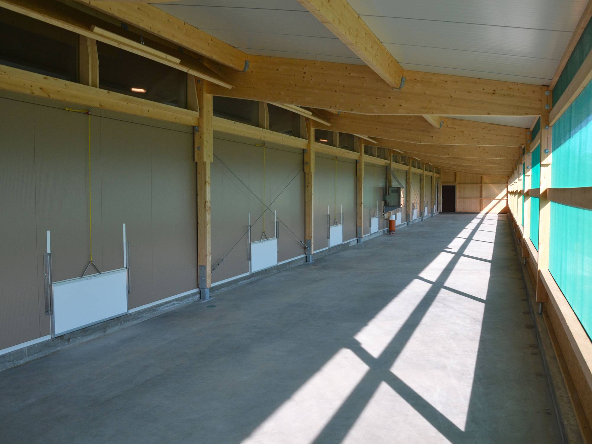 clerici-gino-voliera-svezzamento-pulcini-canton-lucerna-olimpia-aperta-(3)