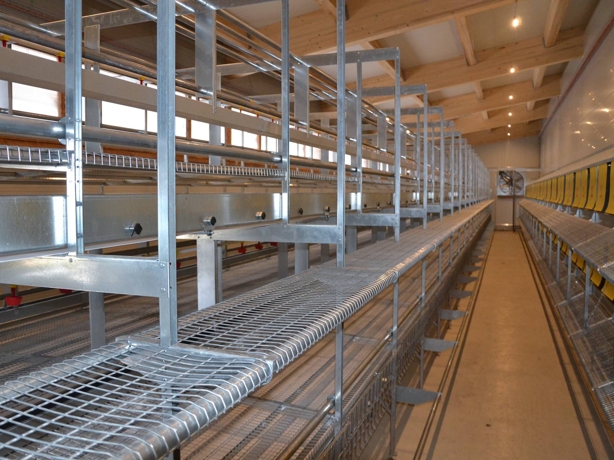 impianto-avicolo-canton-giura-jeanborquin-parchetto nido (3)