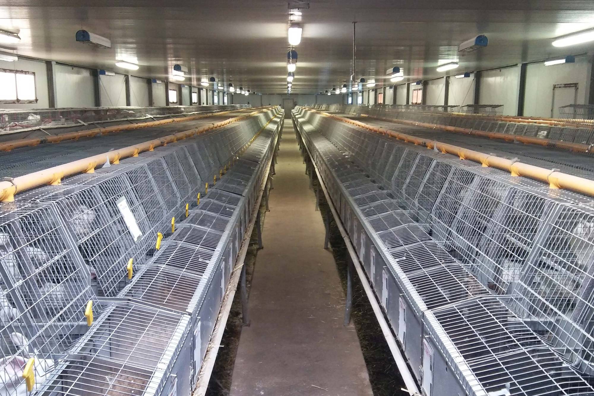 clerici-gino-impianti-cunicoli-1