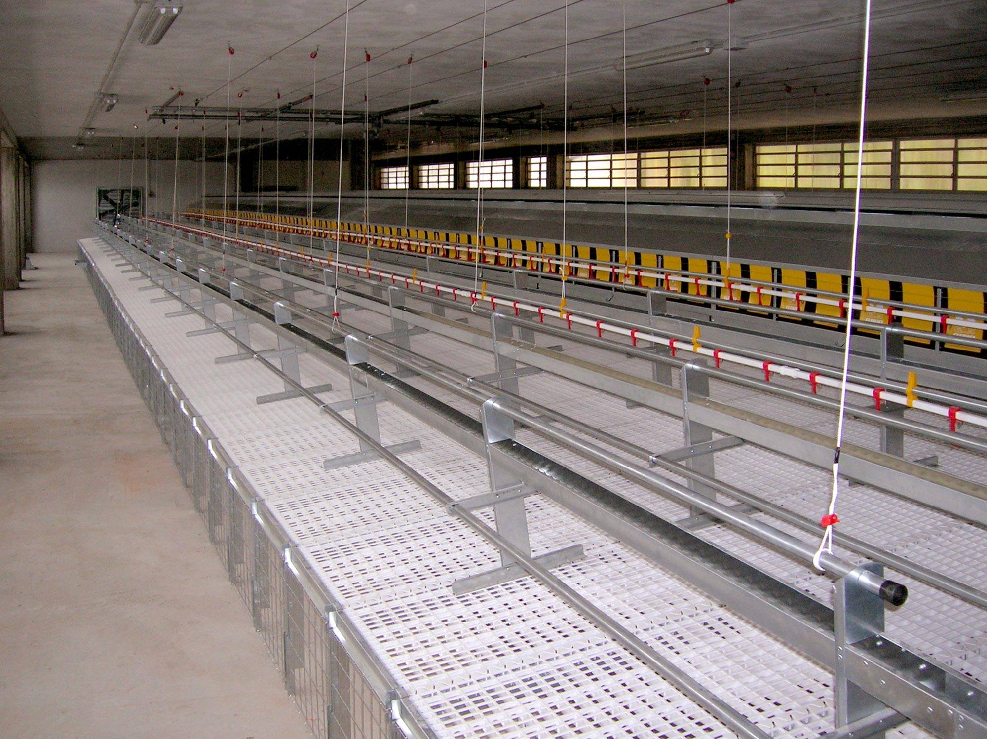 impianti-avicoli-al-suolo-nido-libera-clerici-gino-11