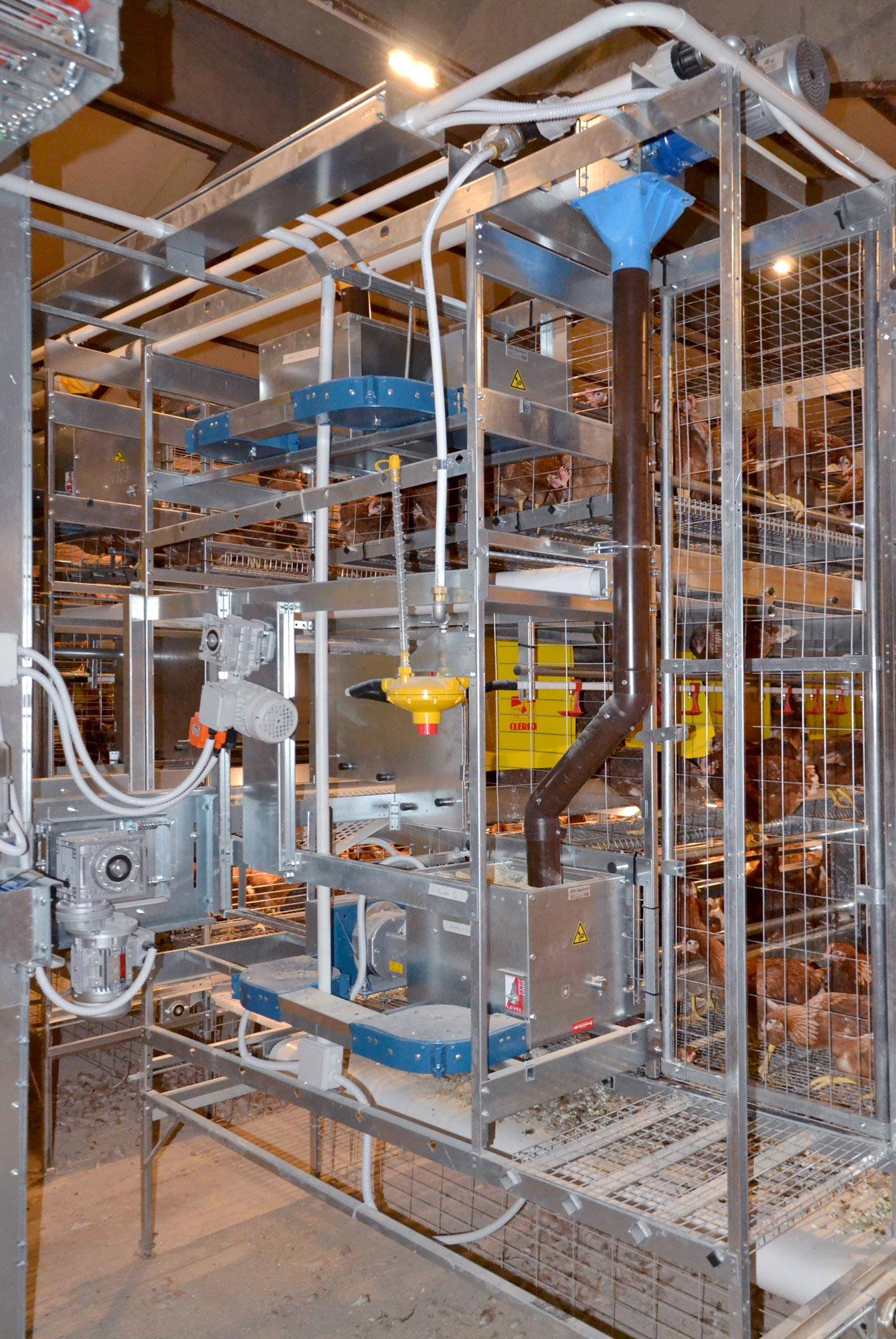 alimentazione-gigo-impianti-avicoli-clerici-2