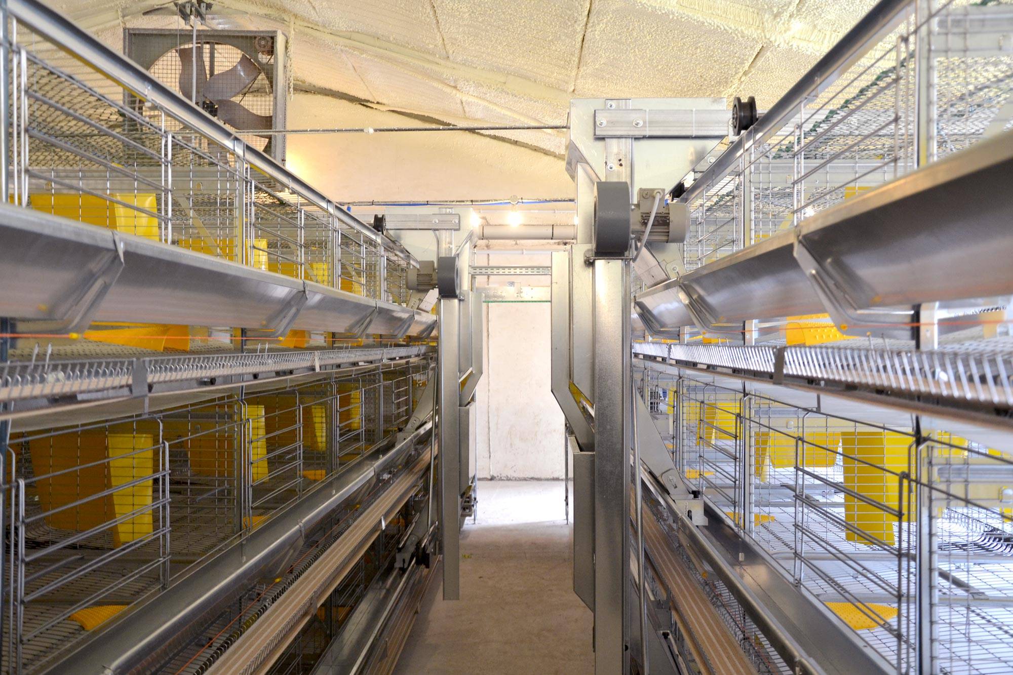 eu5-eu5-max-gabbia-allevamento-in-batteria-galline-ovaiole-clerici-4