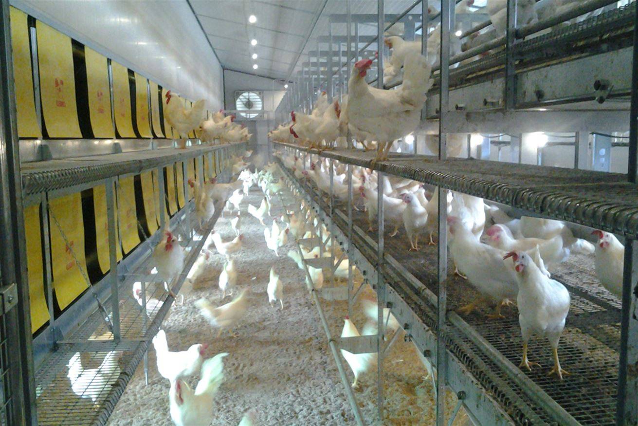 xl-suolovolieraparchetto07