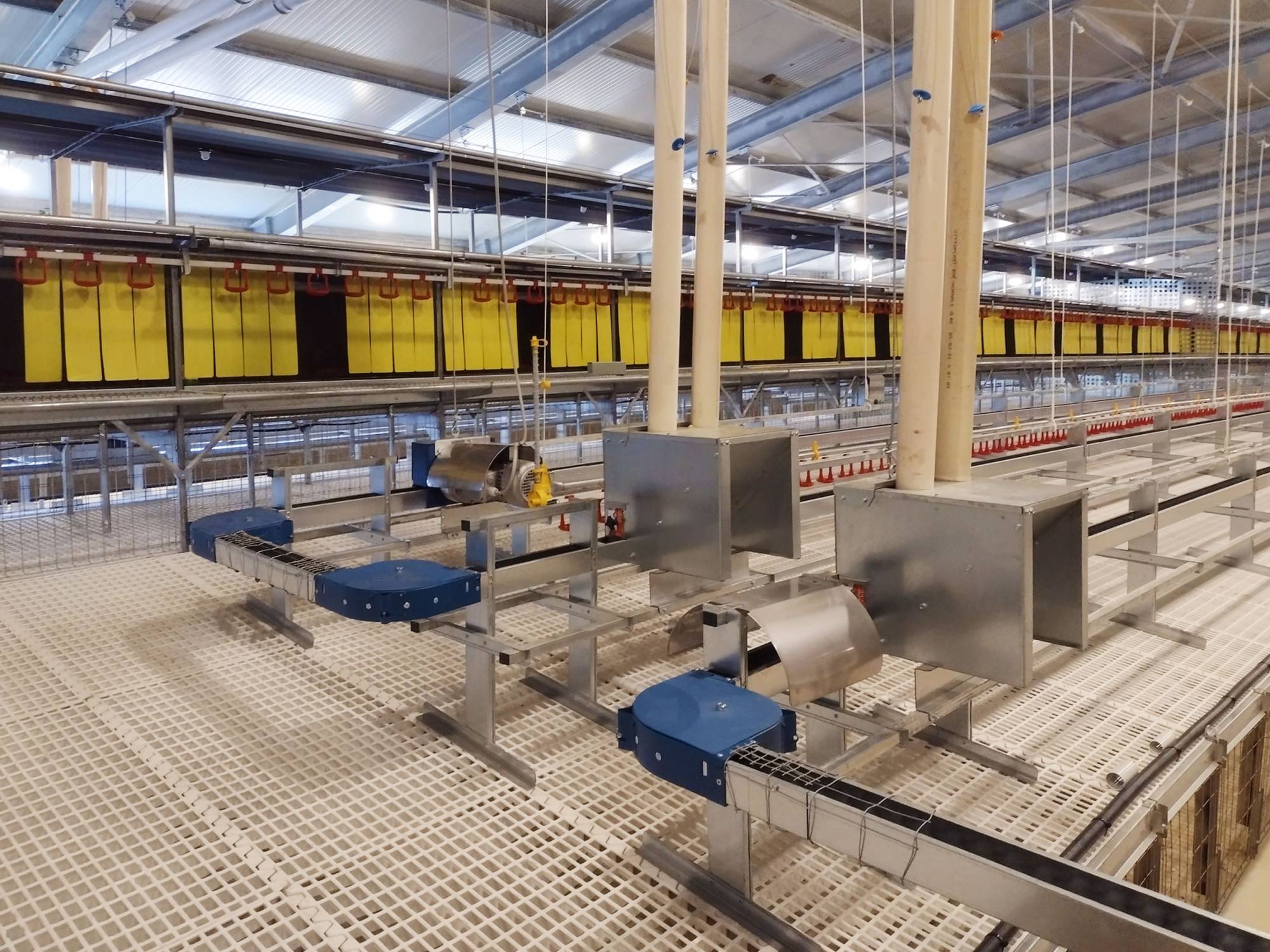 clerigi-gino-impianti-avicoli-viterbo-gigo