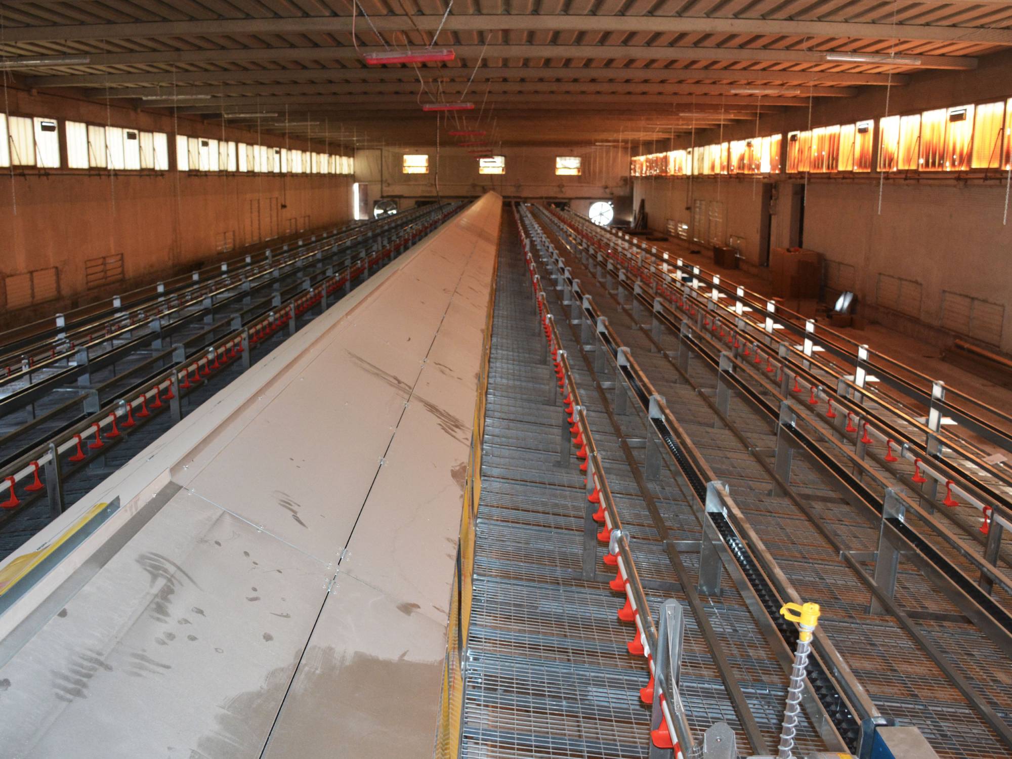 clerici-gino-impianti-avicoli-treviso-nido-libaia-1-piano