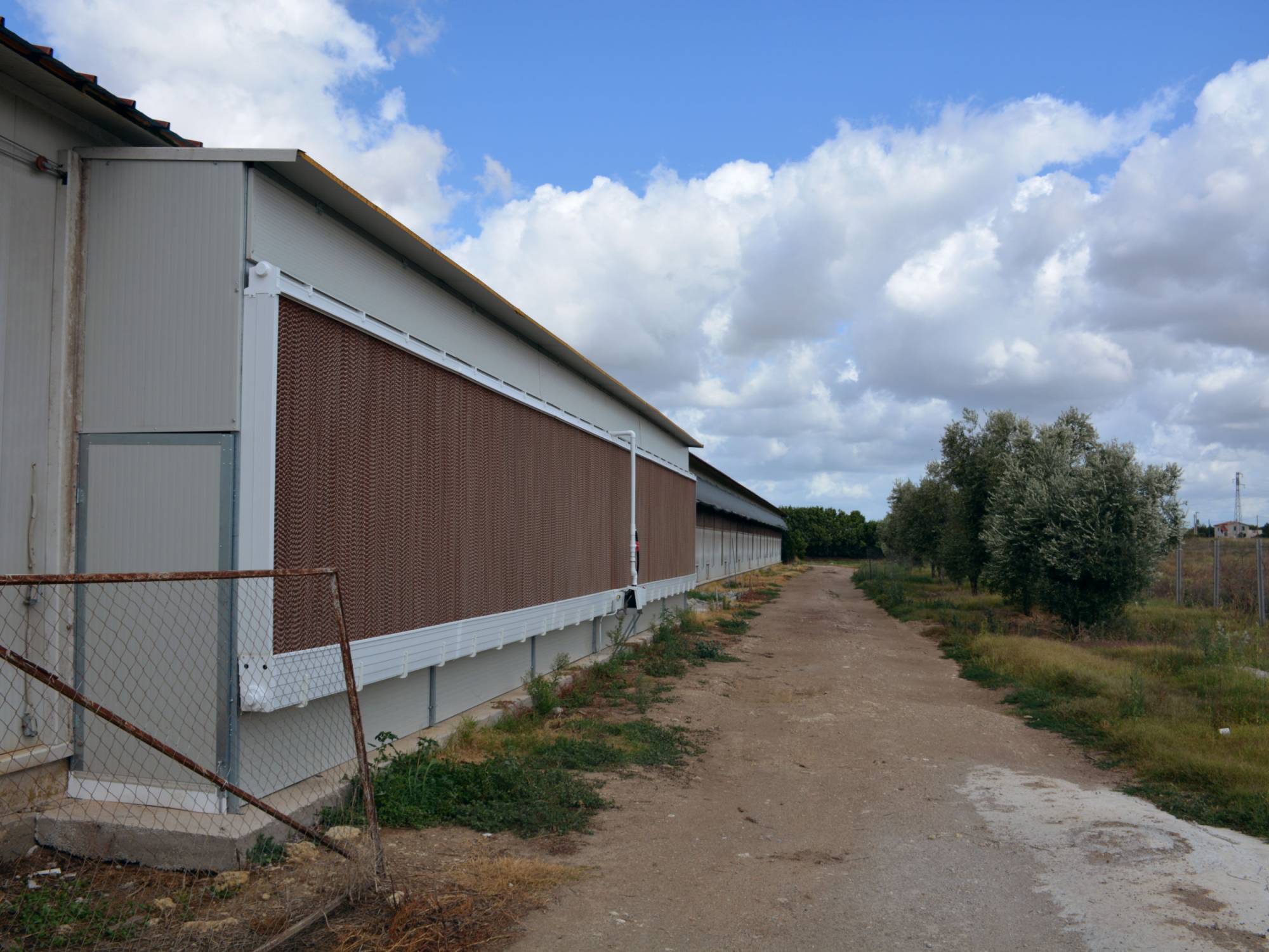 clerici-impianti-avicoli-viterbo-umidificazione