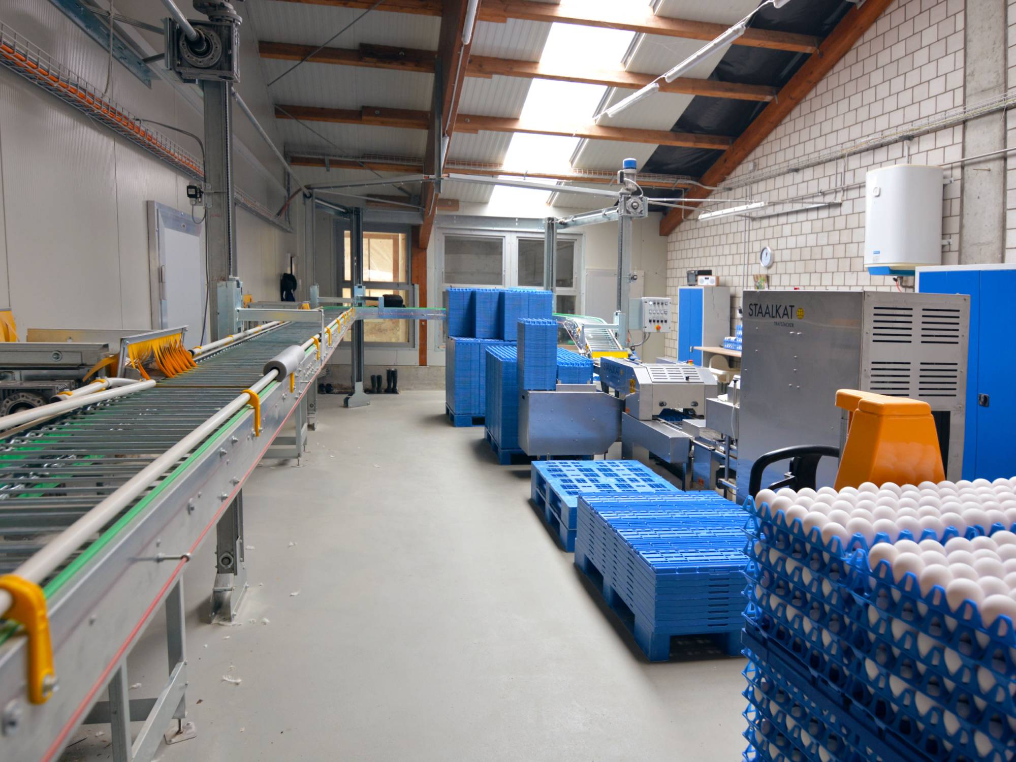 clerici-impianti-avicoli-svizzera-canton-zurigo-lift-(3)