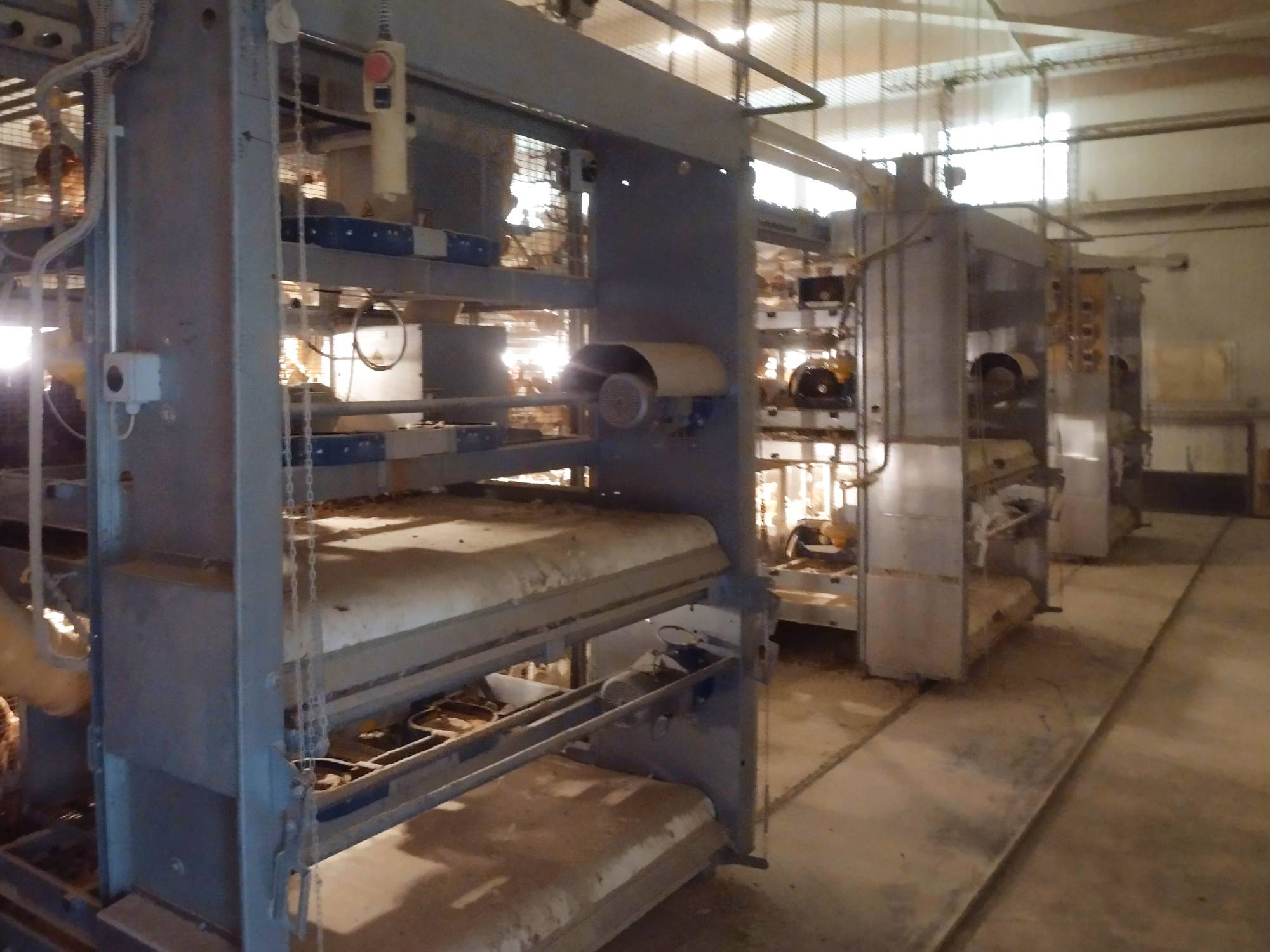 clerici-impianti-avicoli-svezzamento-pulcini-canton-angovia-svizzera-trasporto-deiezioni