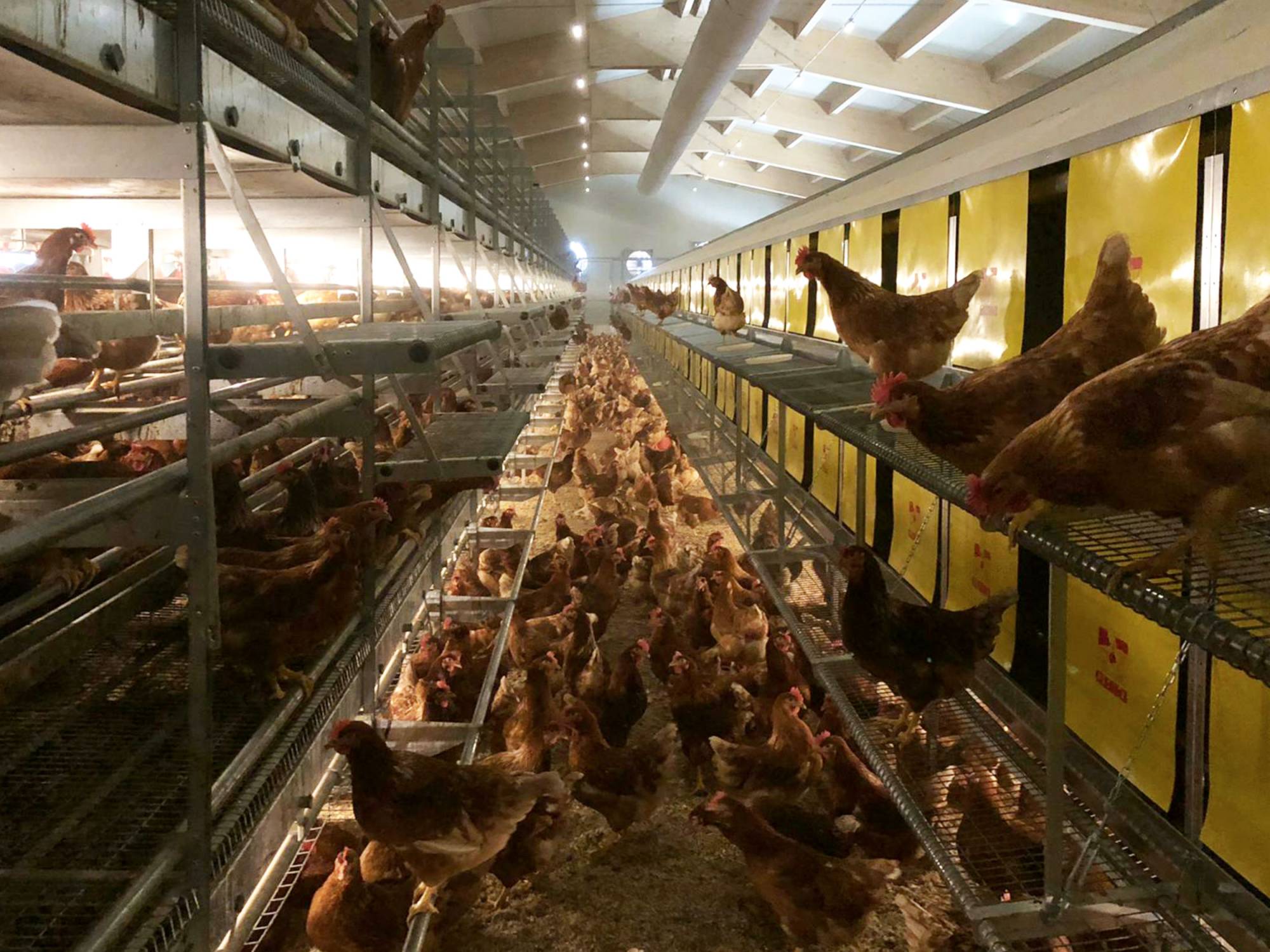 soluzione-parchetto-nido--2-piani-libaia-60-(8)