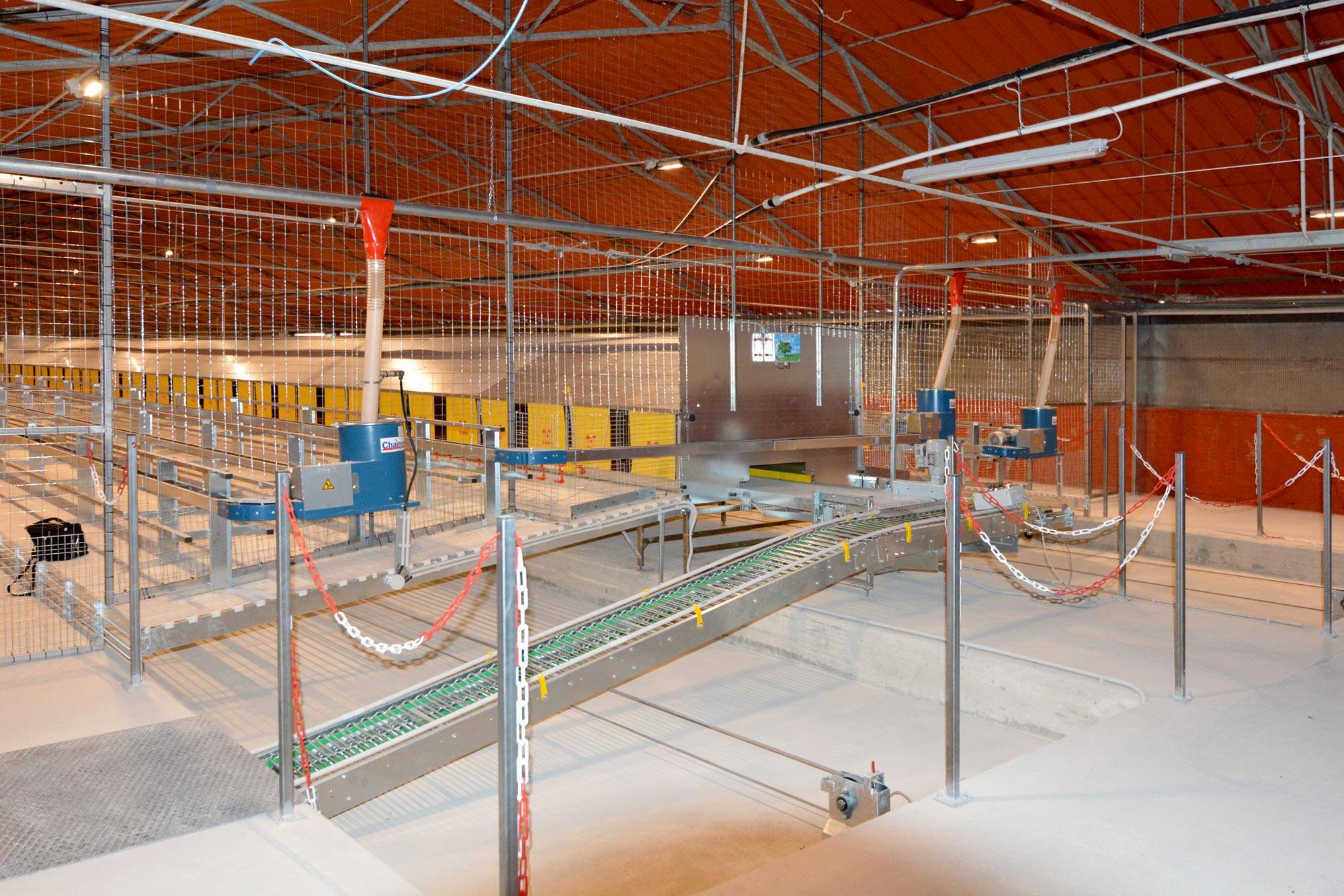 impianti-avicoli-al-suolo-nido-libera-clerici-gino-3