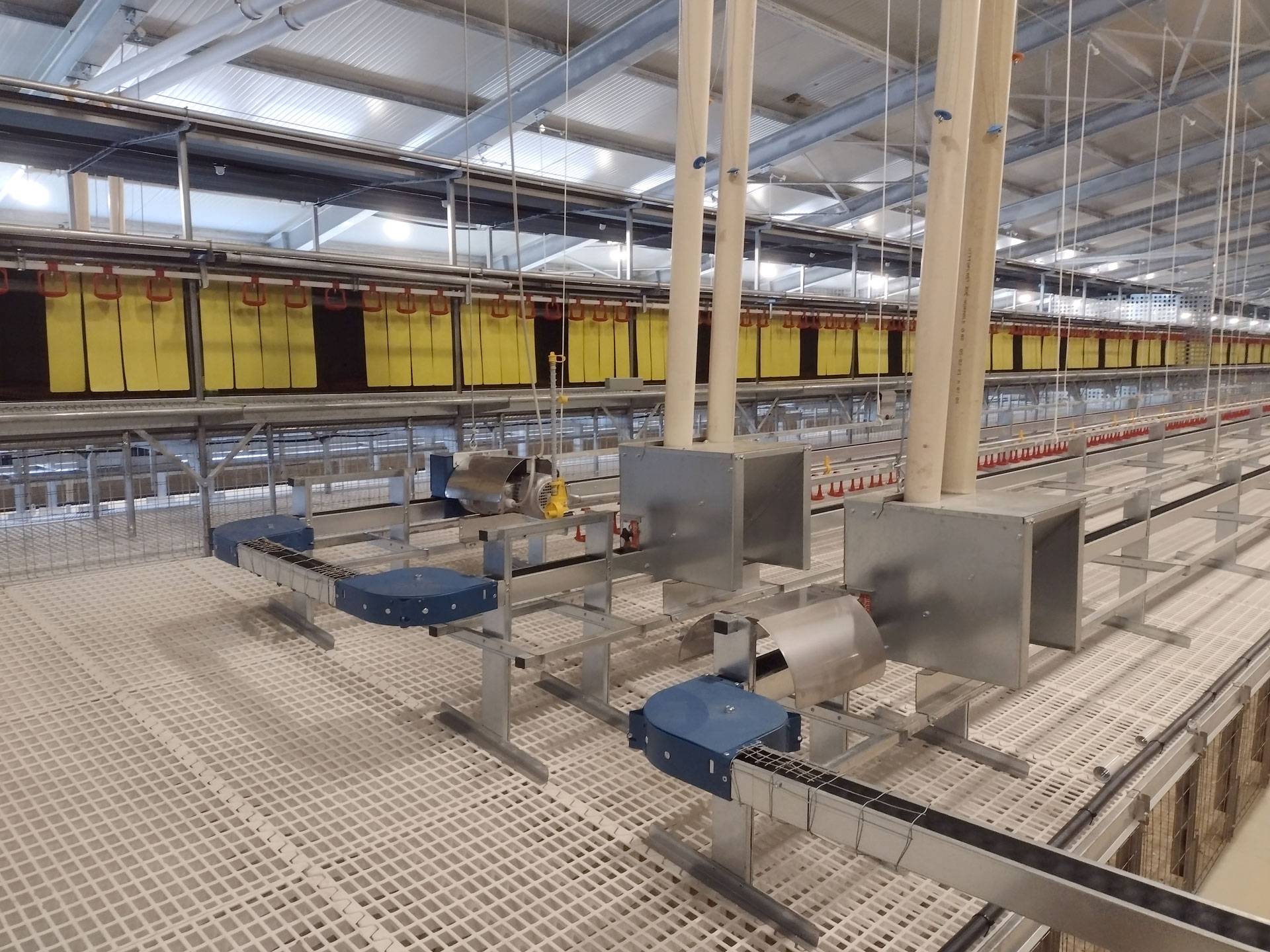 clerici-impianti-avicoli-alimentazione-gigo