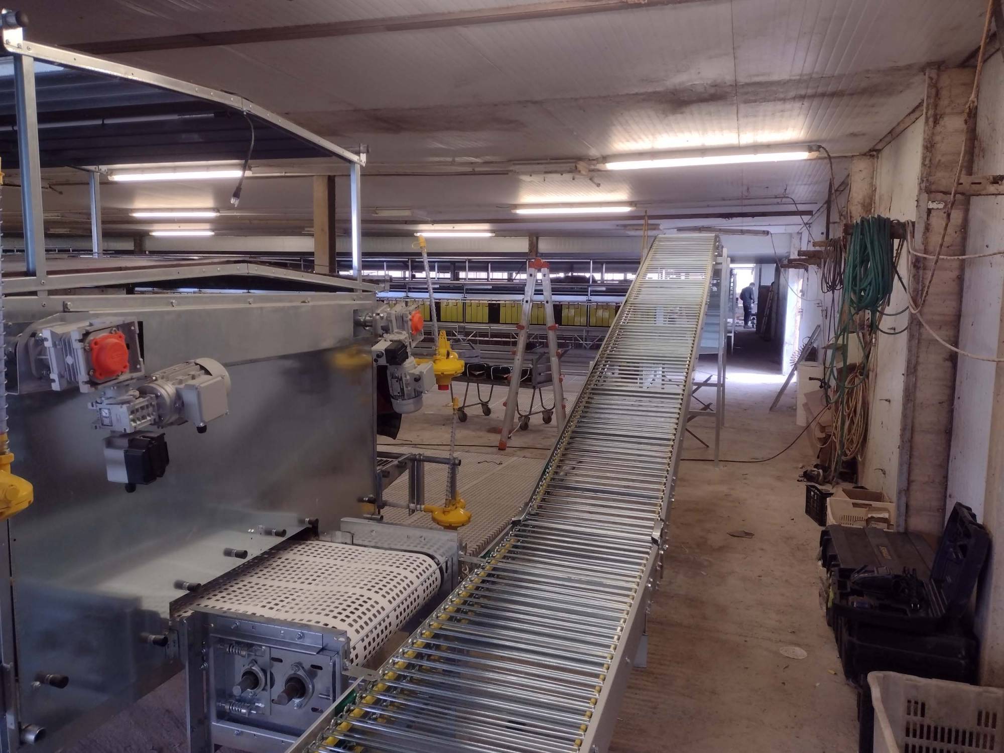 clarici-impianti-avicoli-tambara (5)