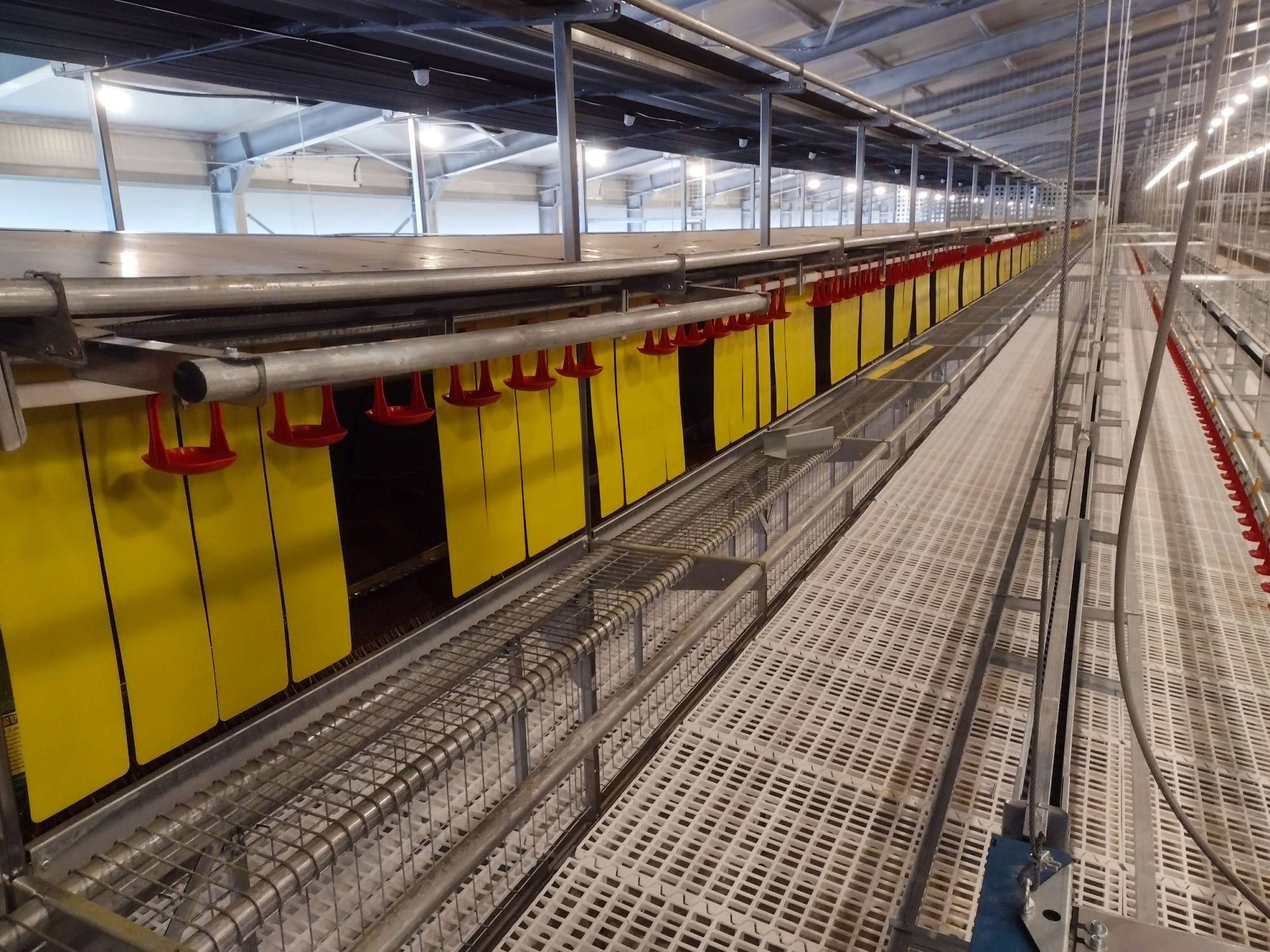 clerigi-gino-impianti-avicoli-viterbo-libaia-2tc-(3)