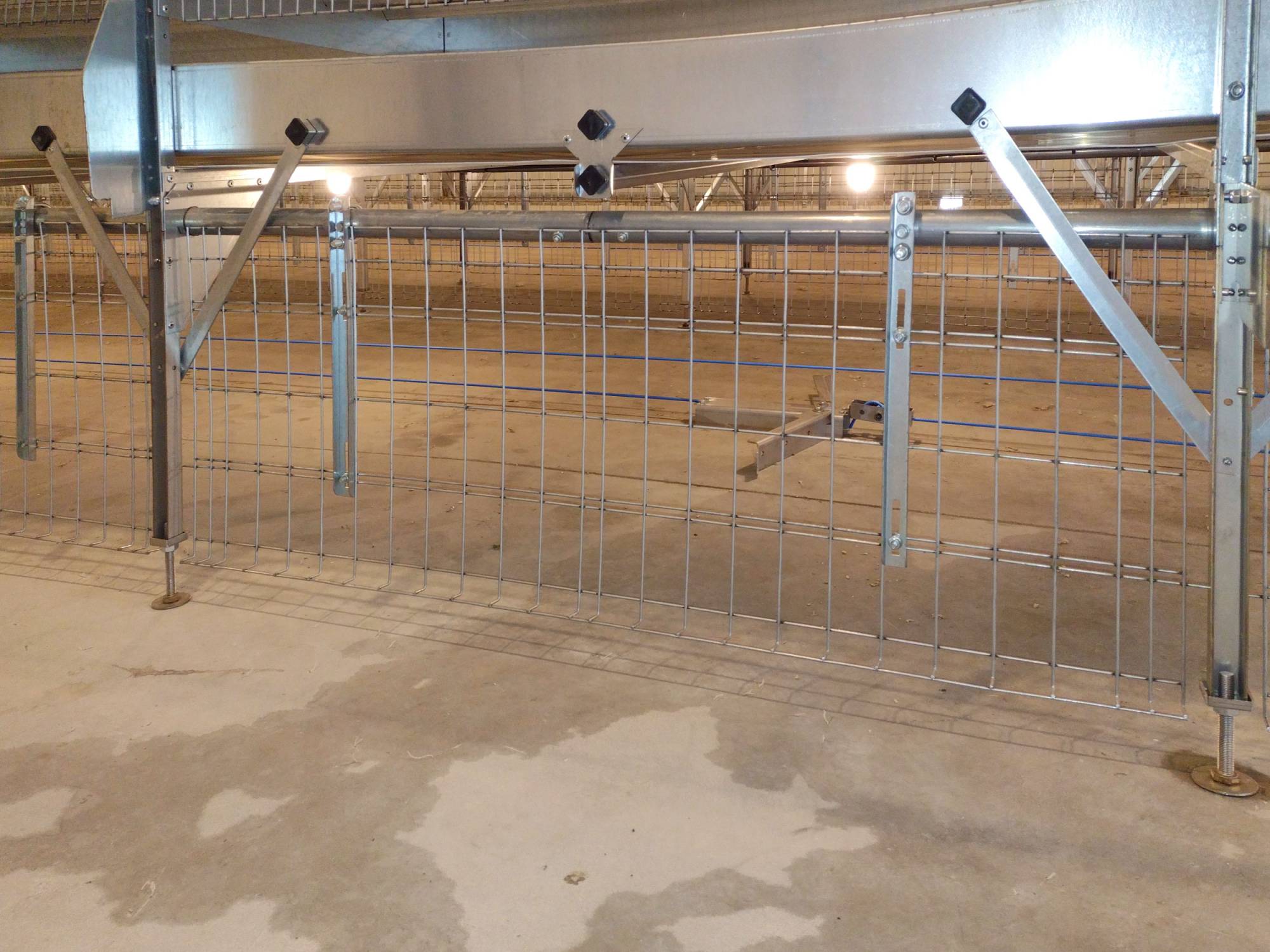 clerici-gino-impianti-avicoli-verona-sistema-di-rimozione-pollina-con-raschietti---PIUME