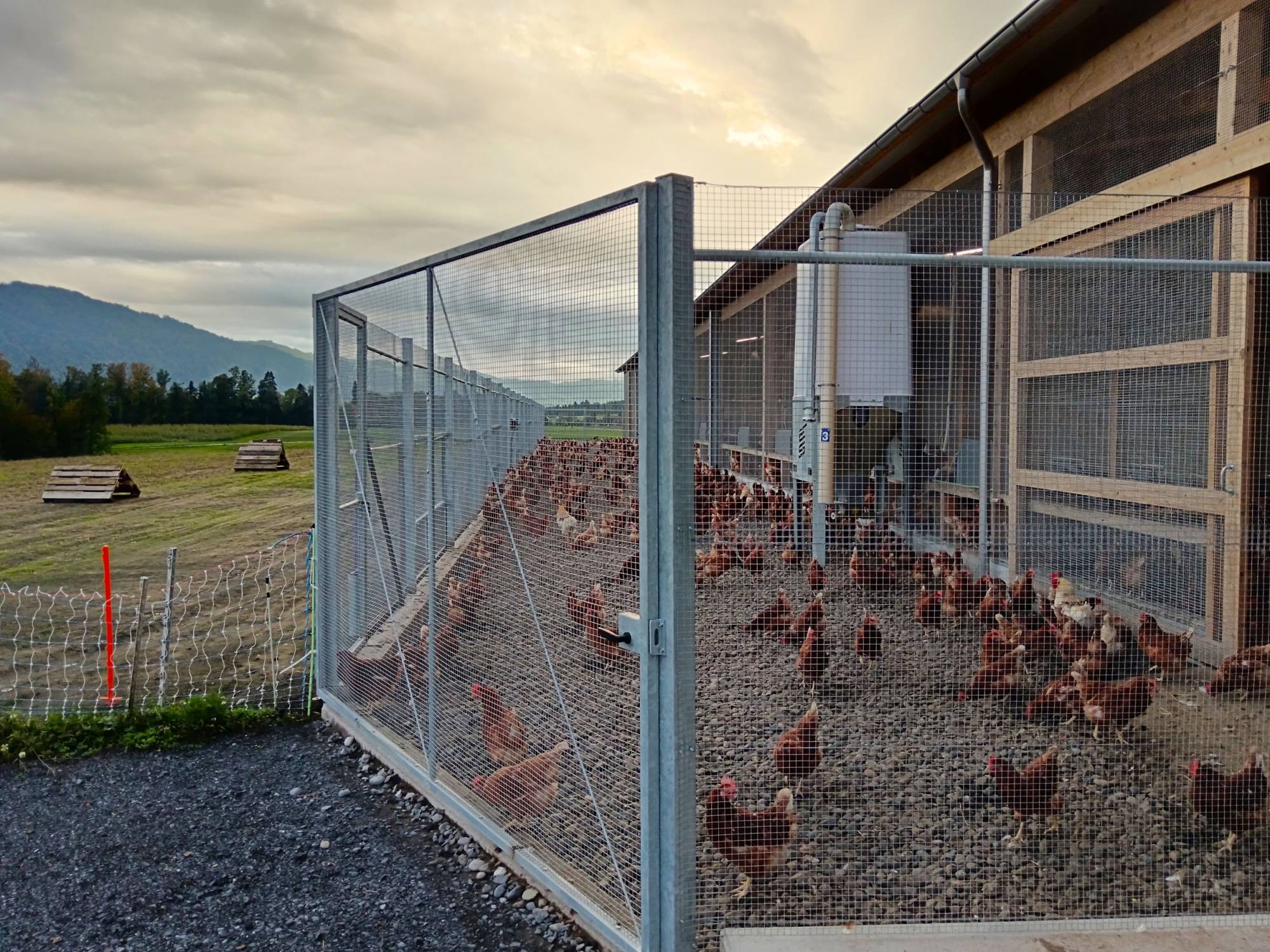 clerici-impianti-avicoli-svizzera-panoramica-parchetto-nido
