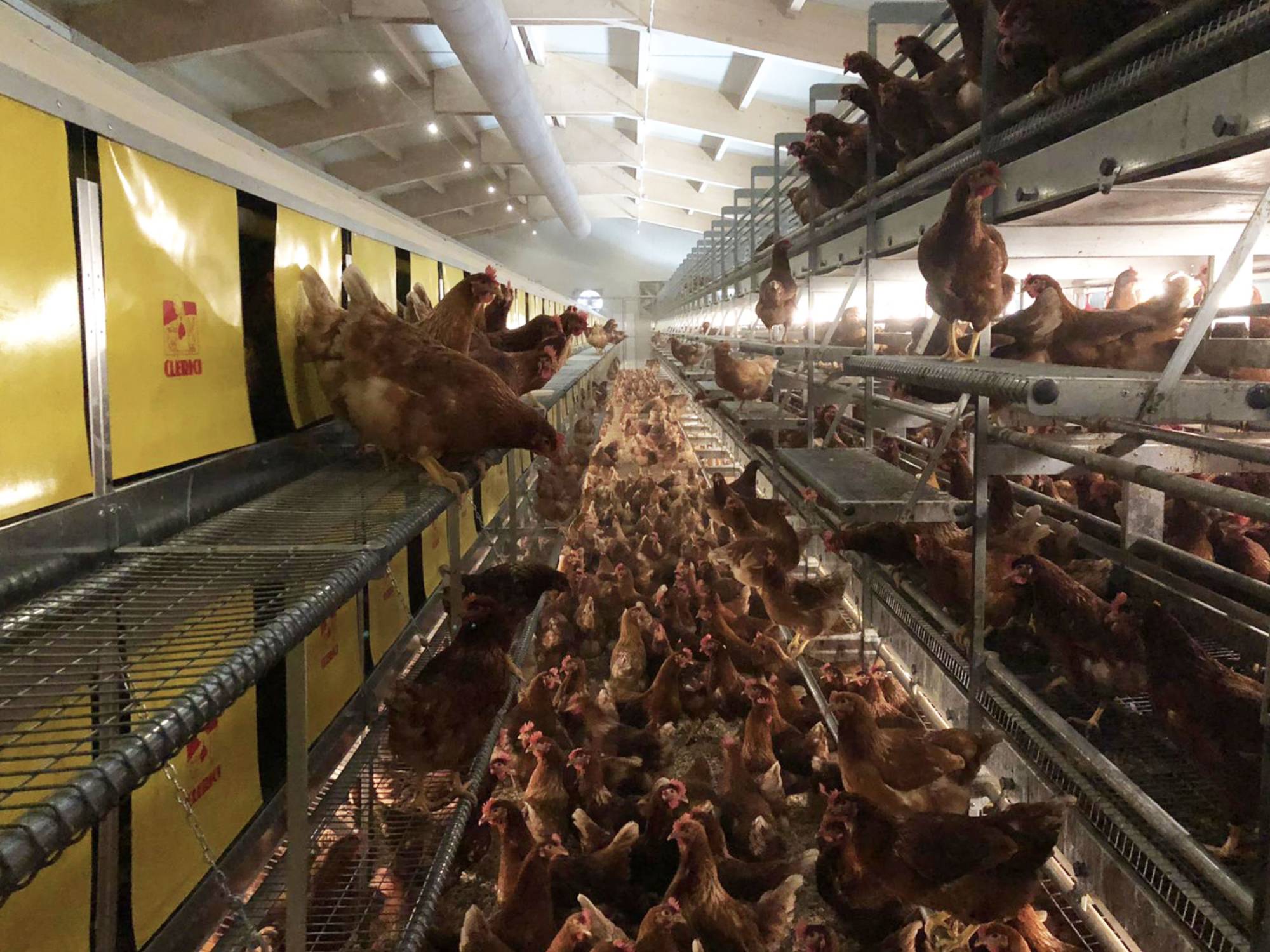 soluzione-parchetto-nido-2-piani-libaia-60-(7)