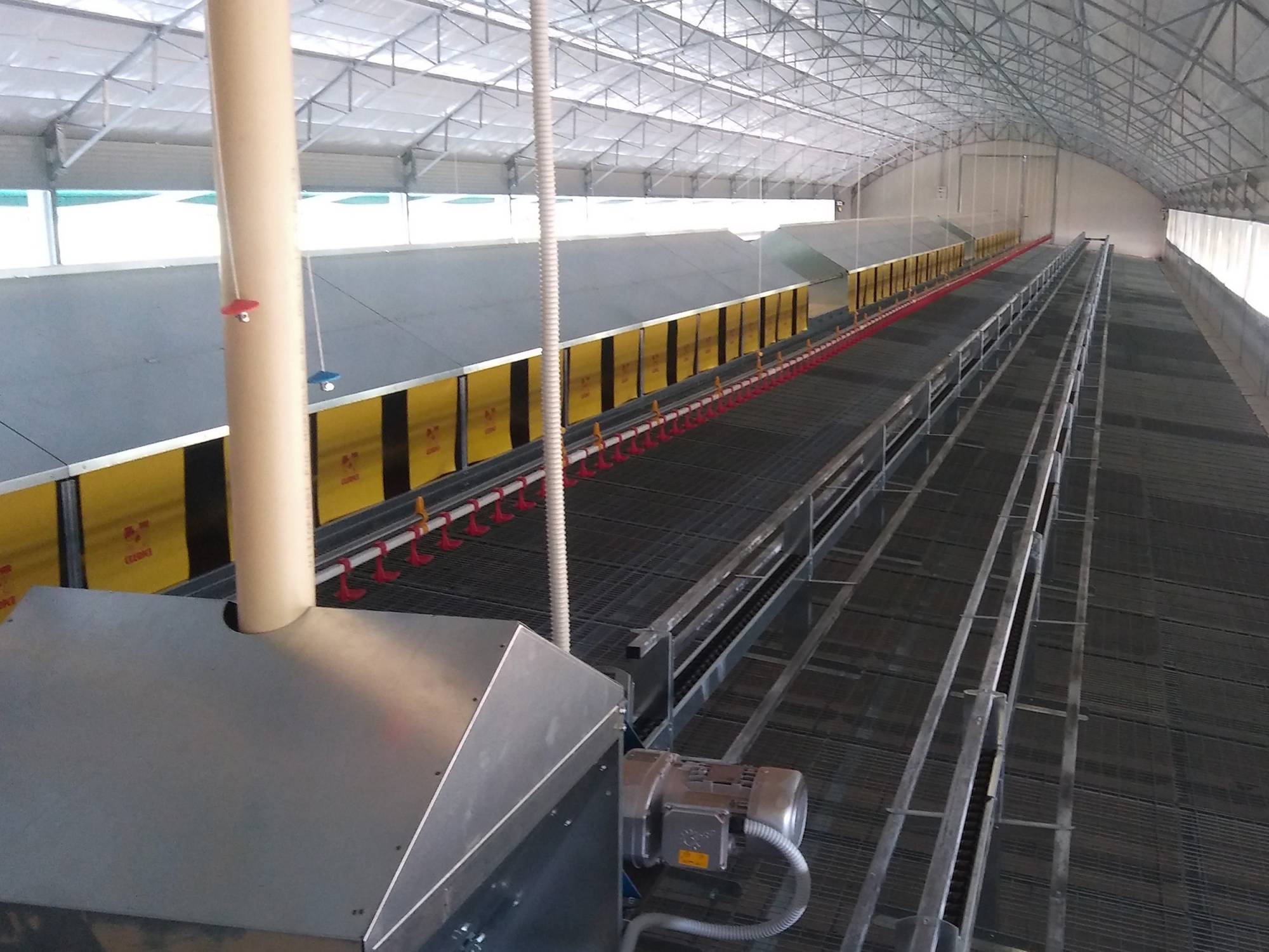 clerici-impianti-avicoli-galline-ovaiole-viterbo-libaia