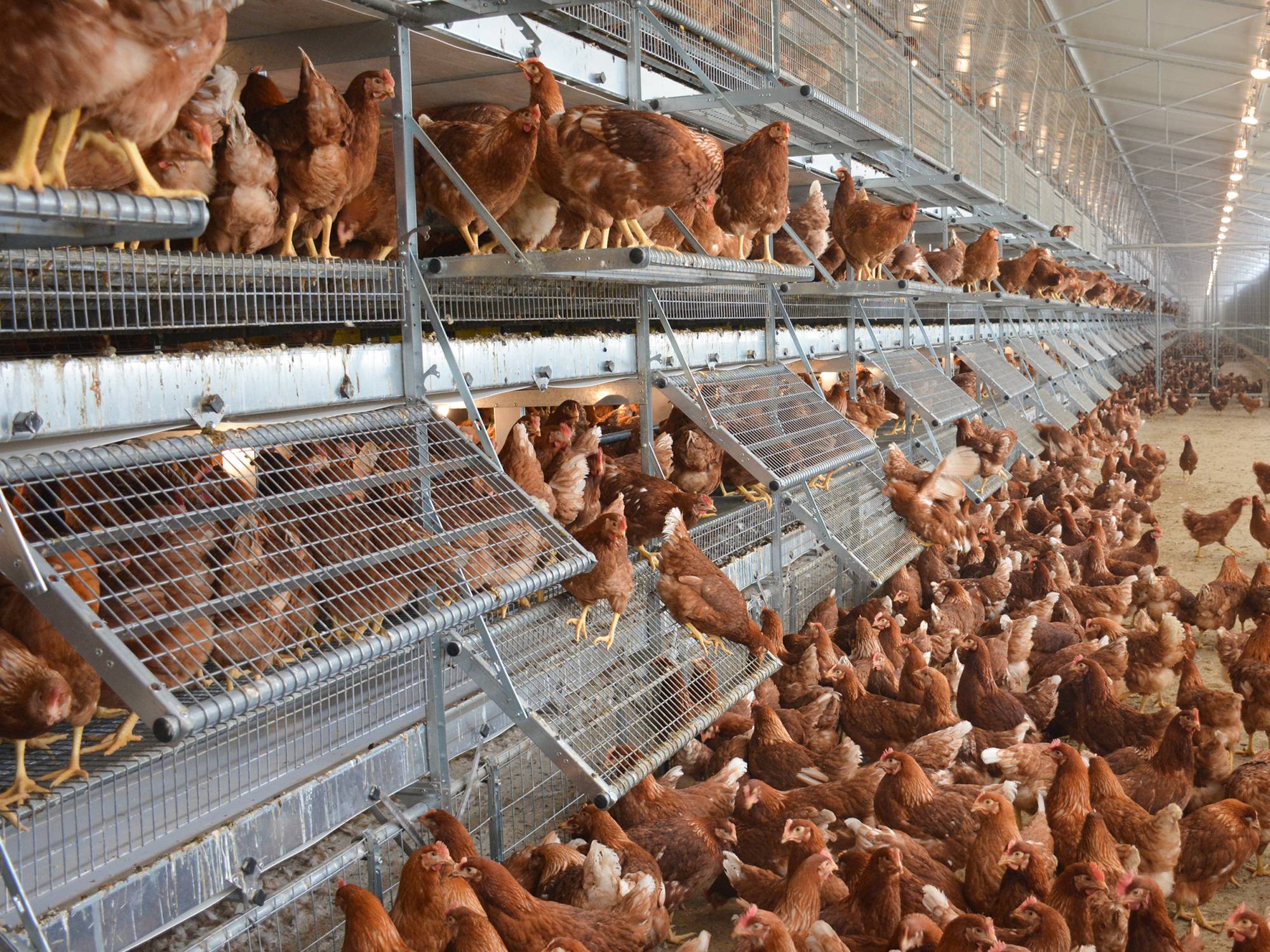 panoramica impianto vl-ope (2)