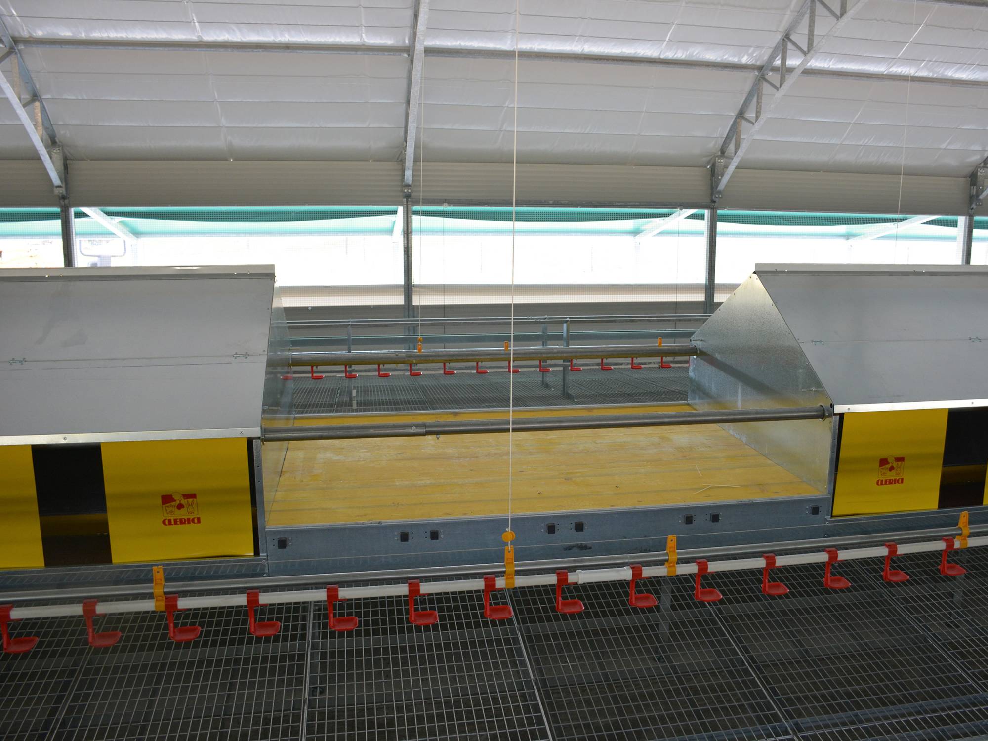 clerici-impianti-avicoli-galline-ovaiole-viterbo-libaia (2)