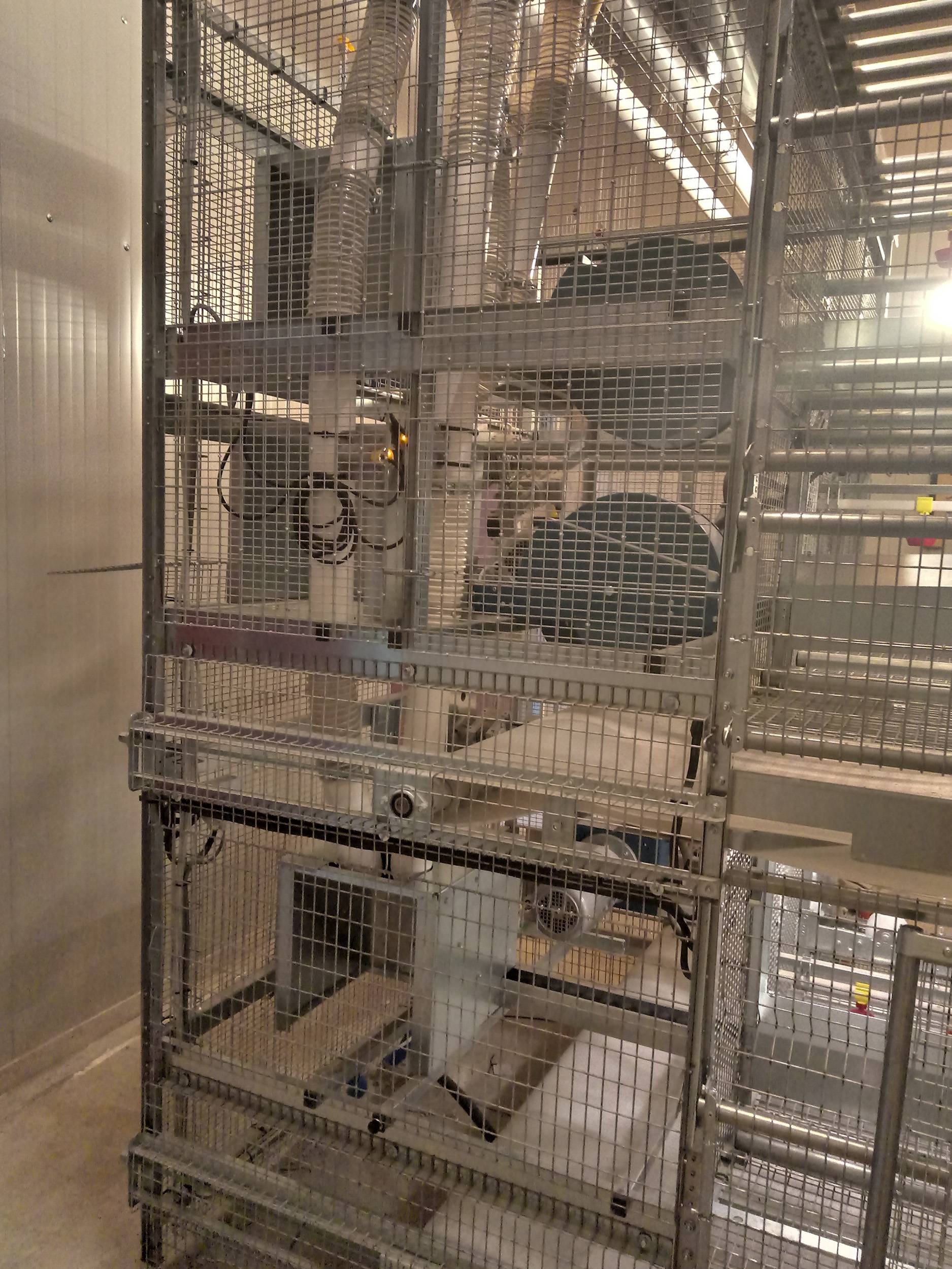 clerici-impianti-avicoli-fishing-canton-svitto-gigo