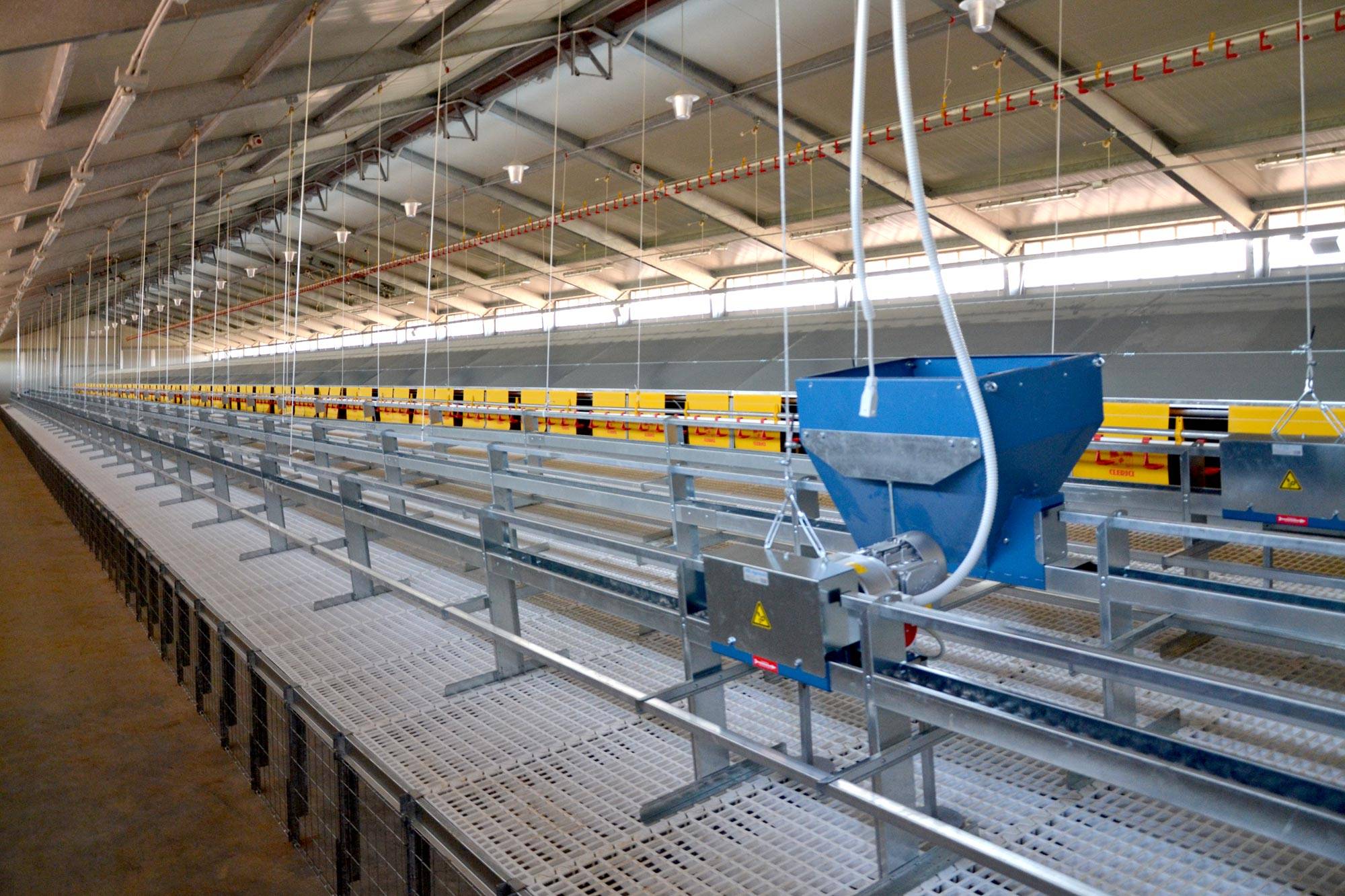 alimentazione-gigo-impianti-avicoli-clerici-gino-3