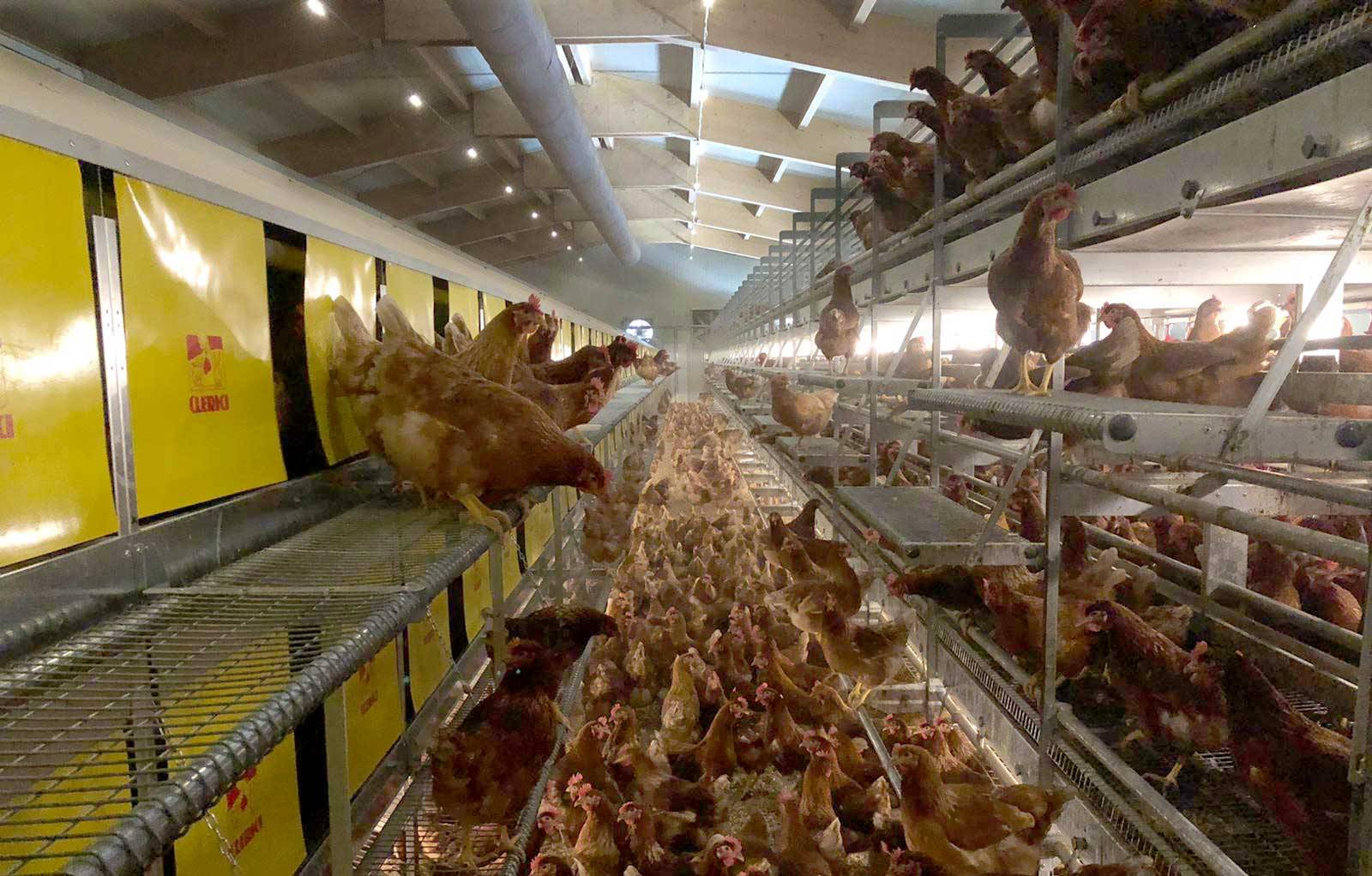 IMG-20200304-WA0006-slider-storia