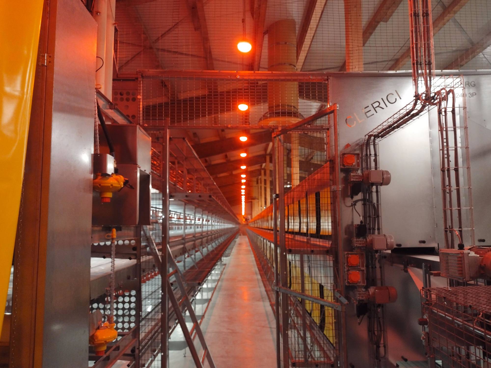 clerici-gino-impianti-avicoli-parchetto-nido-(9)