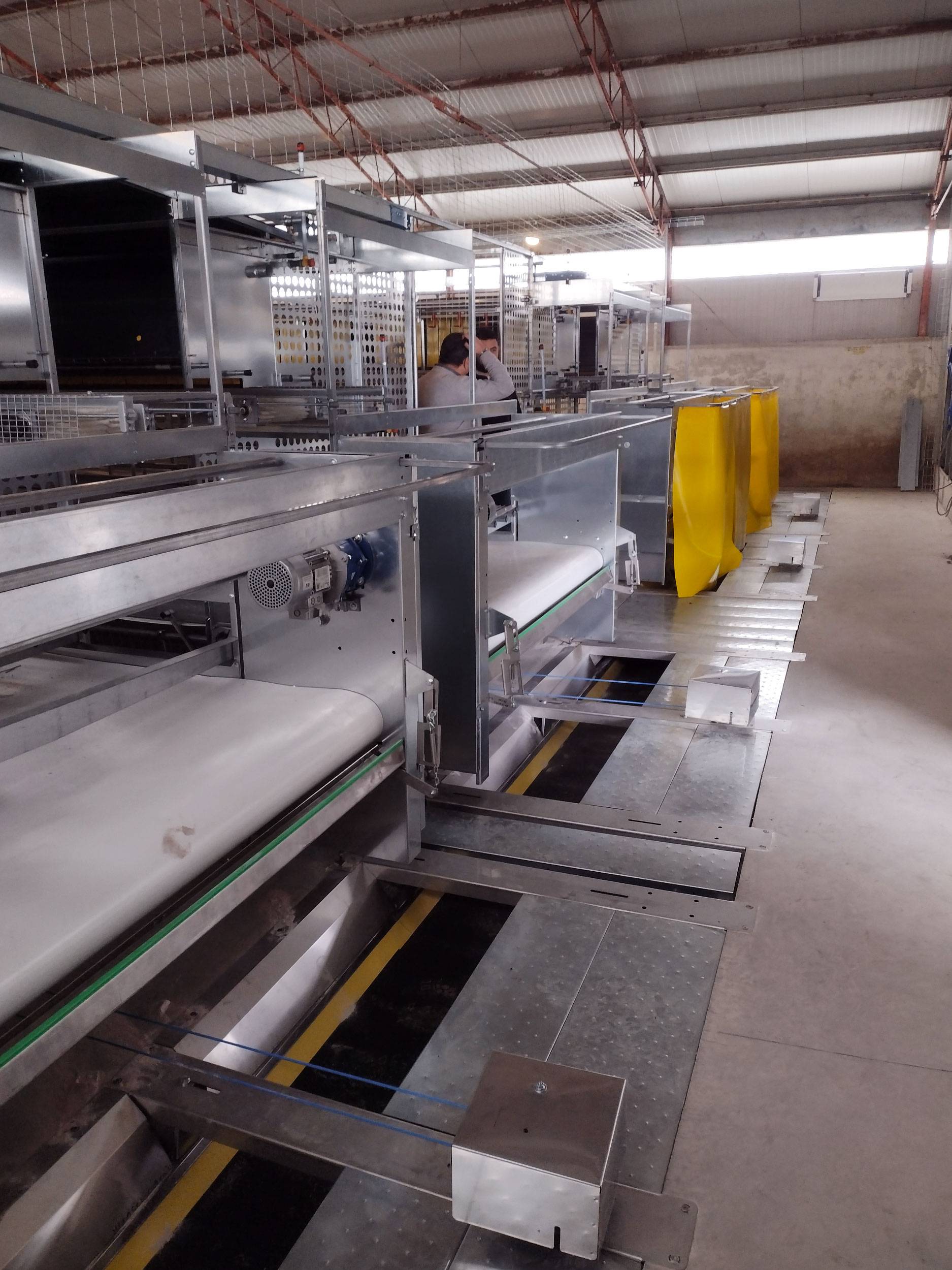 clerici-impianti-avicoli-galline-ovaiole-verona-trasporto-deiezioni