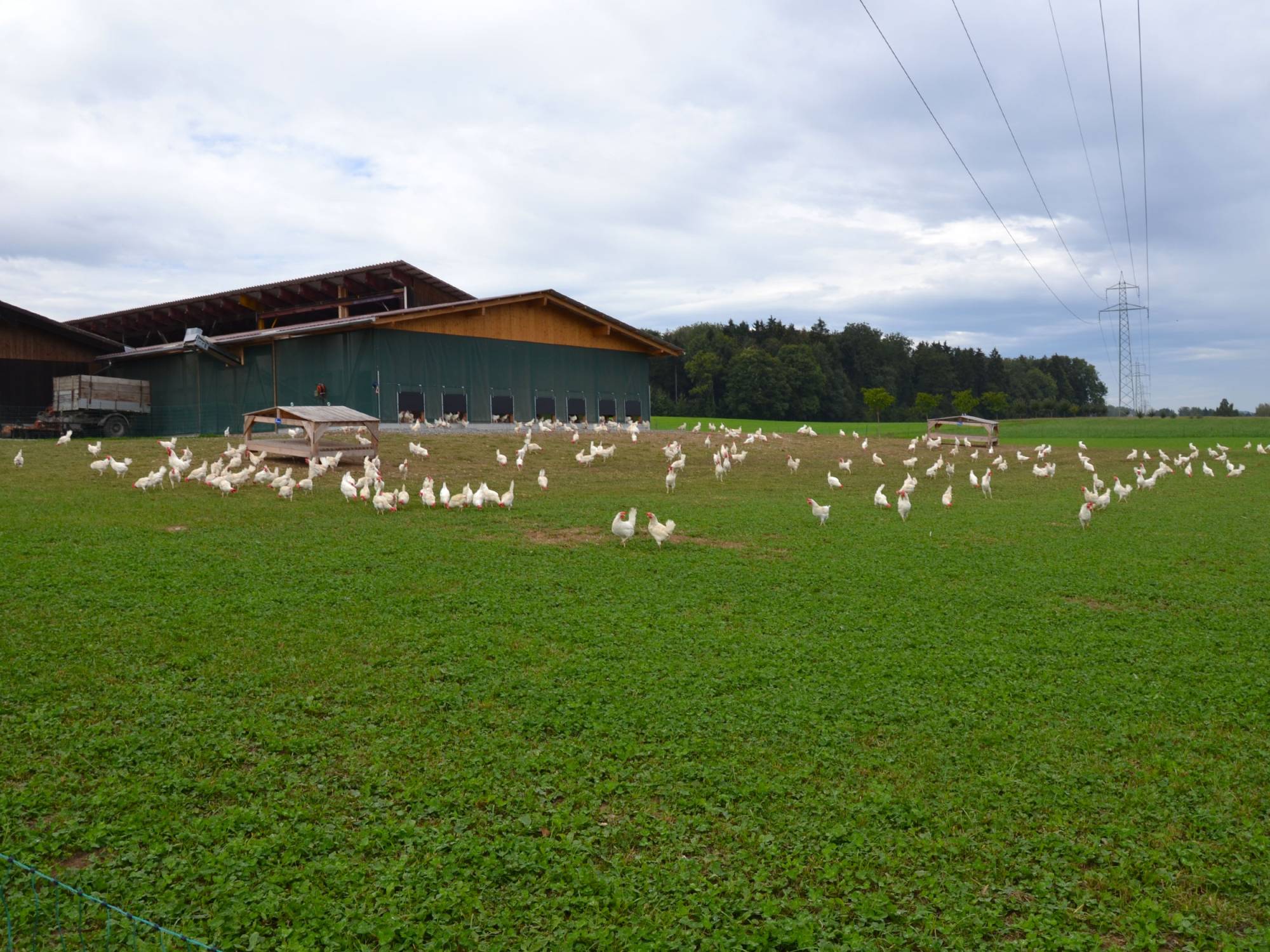 clerici-impianto-avicolo-canton-argovia-panoramica-vl