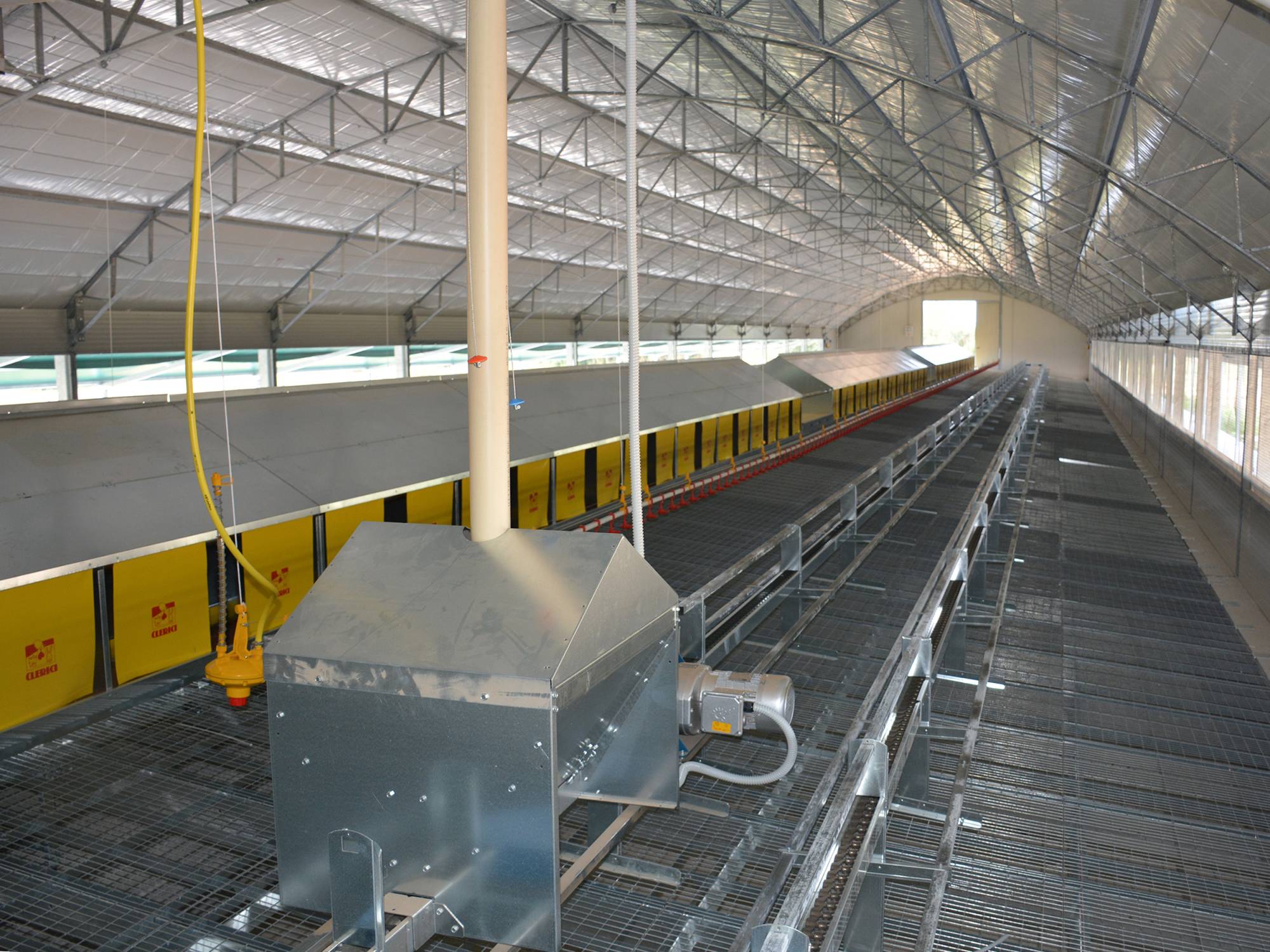 clerici-impianti-avicoli-galline-ovaiole-viterbo-gigo