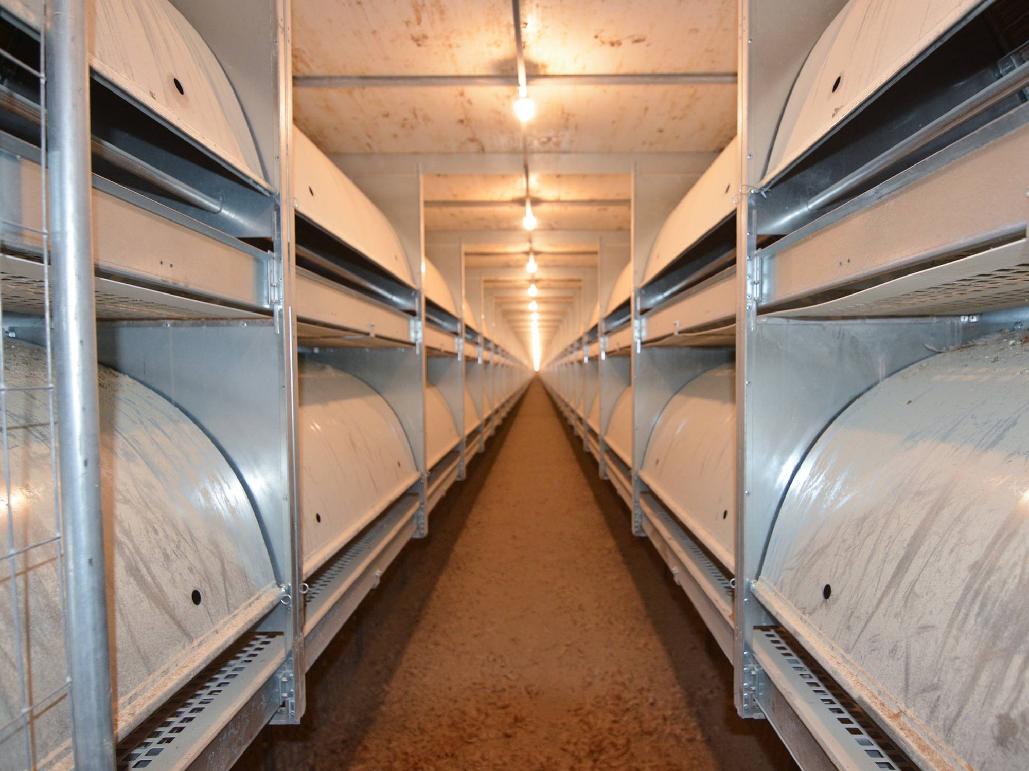 panoramica vl open 2