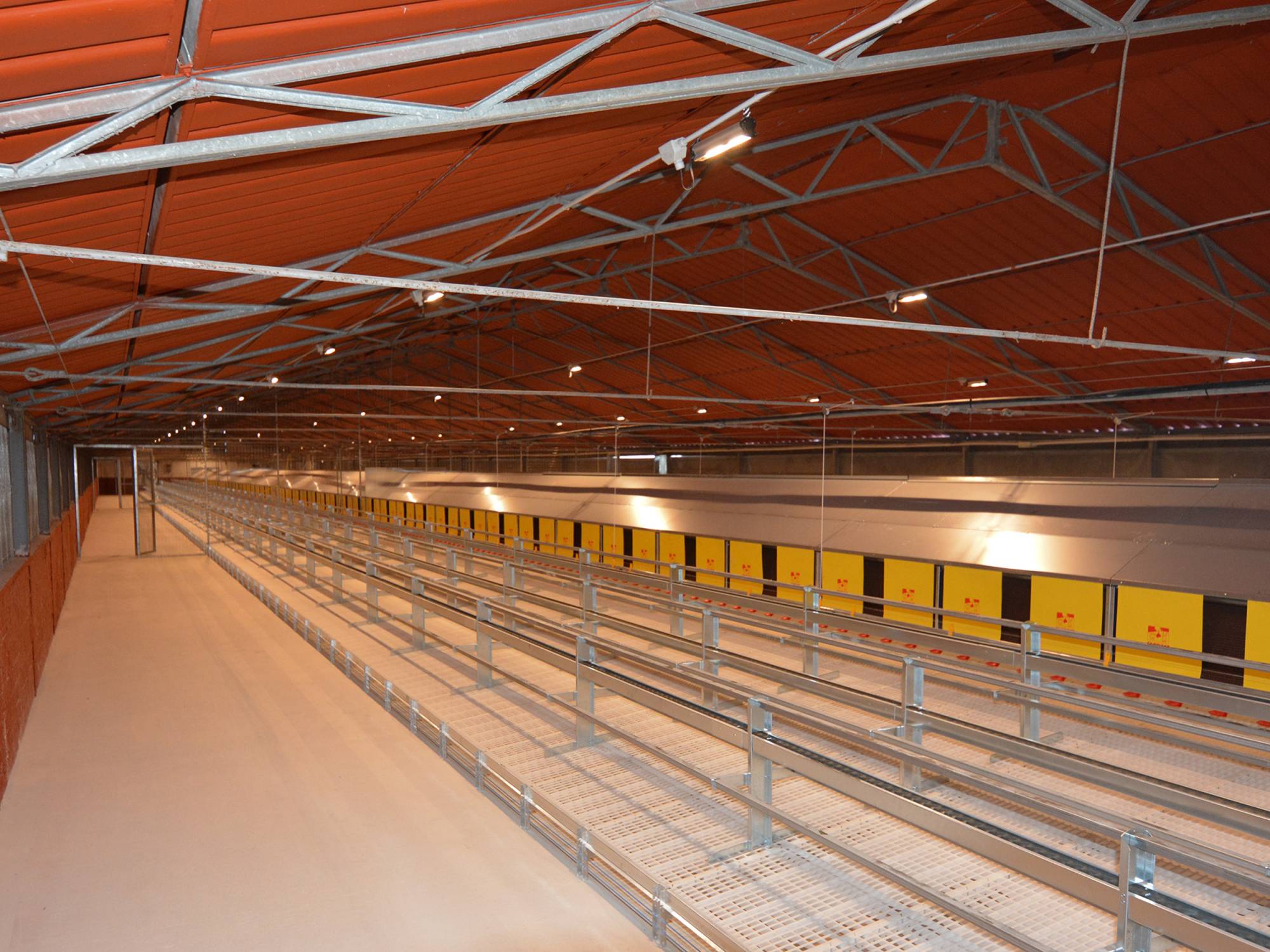 clerici-impianti-avicoli-torino-libera (3)