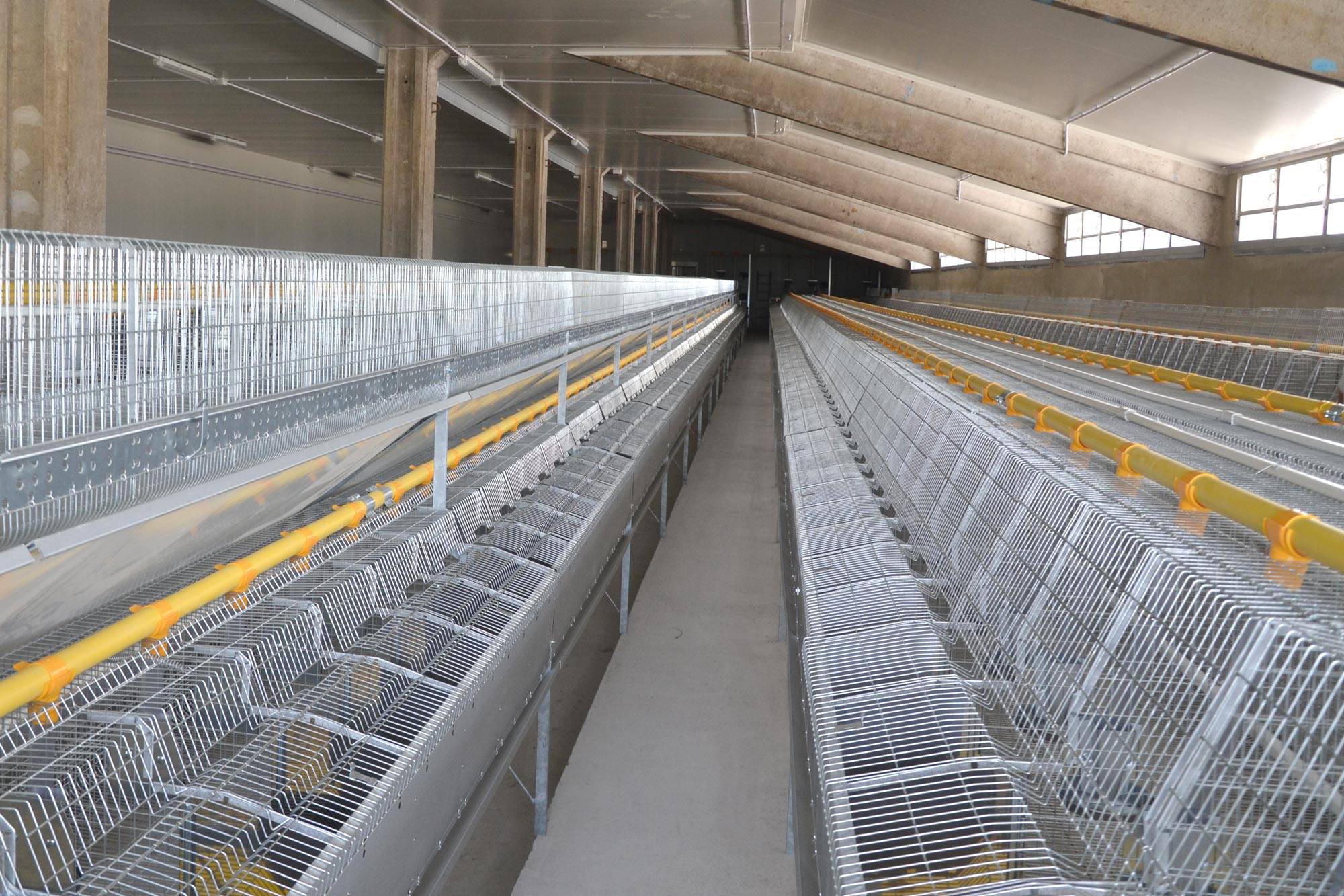 clerici-gino-impianti-cunicoli-natura-rimonta-1