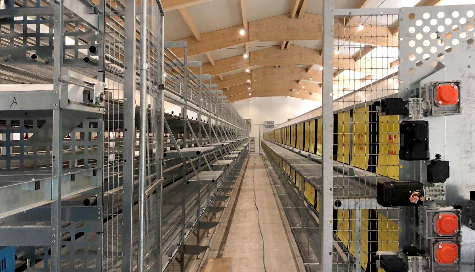 parchetto-voliera-impianti-avicoli-clerici-1